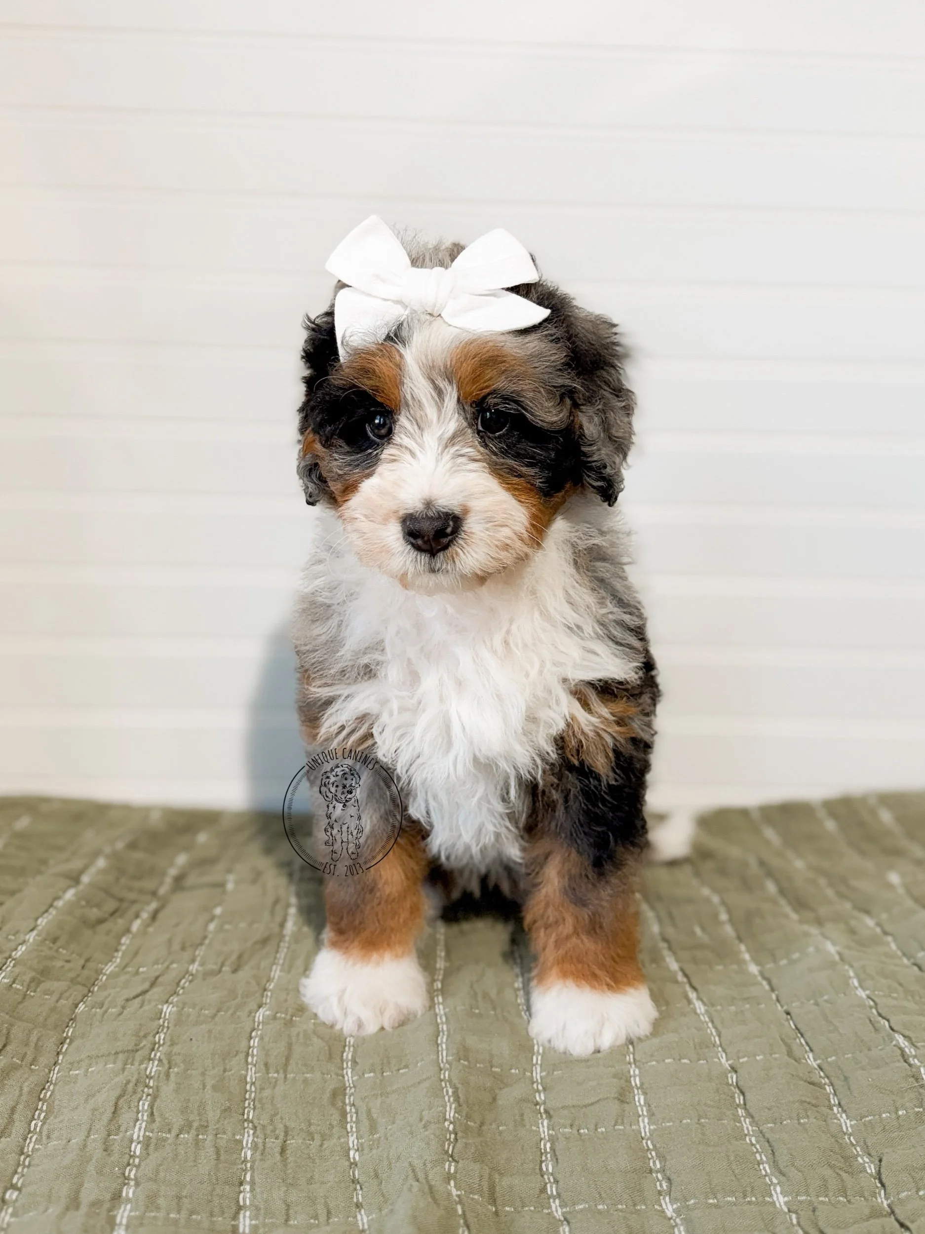 eZy Watermark_18-02-2026_03-59-18-4640PM.jpeg