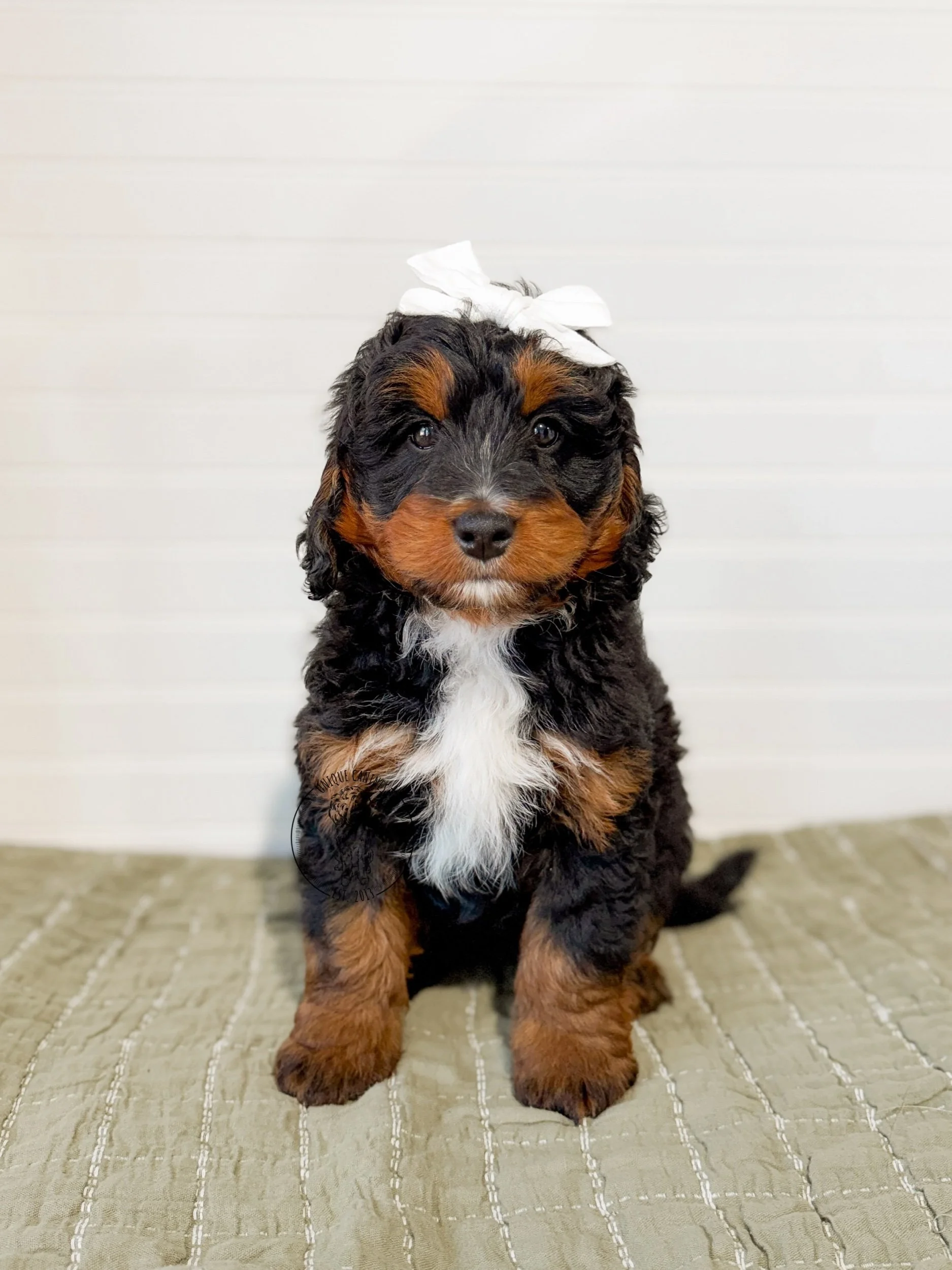 eZy Watermark_18-02-2026_03-59-18-2900PM.jpeg