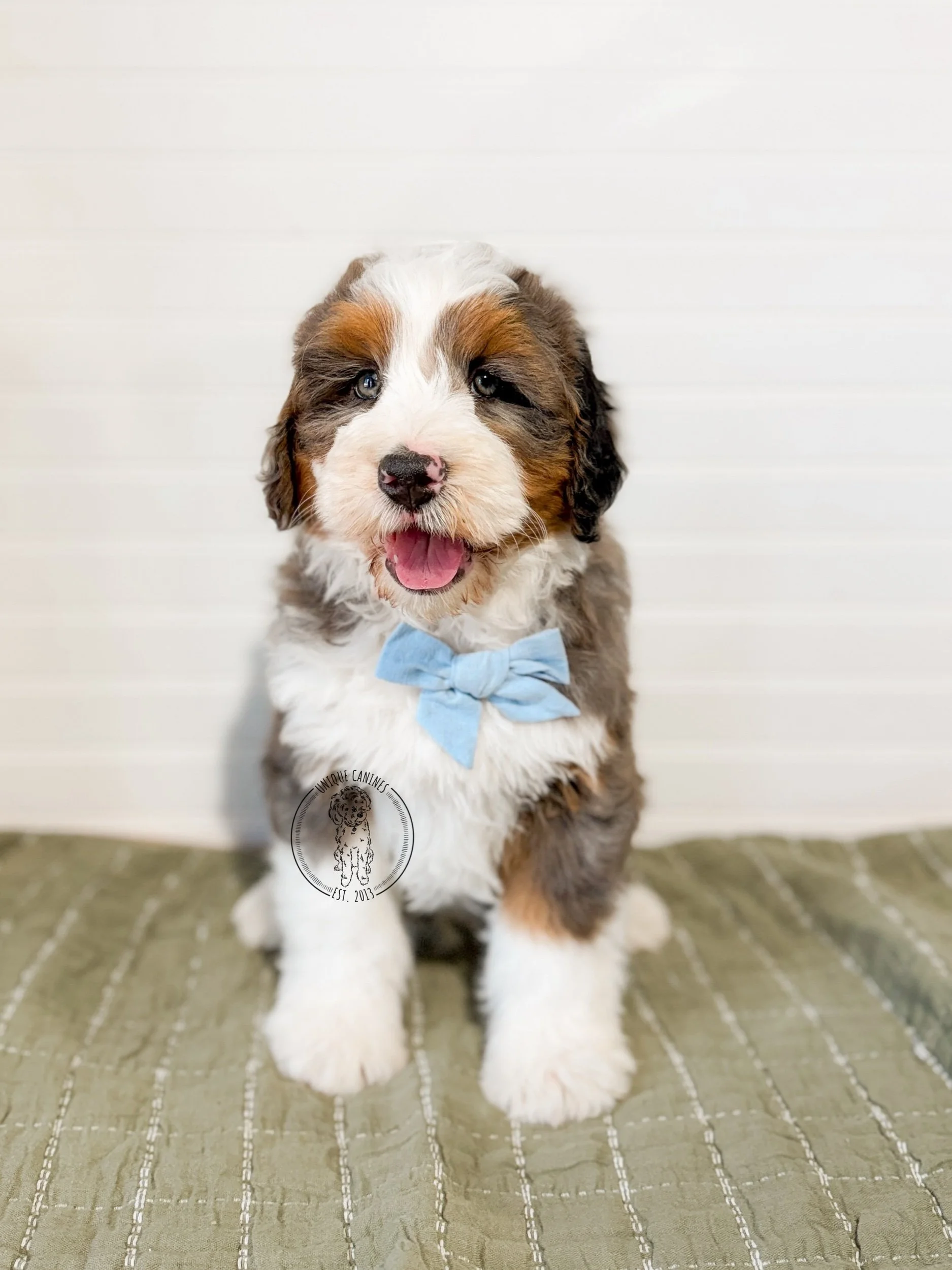 eZy Watermark_18-02-2026_03-59-18-6420PM.jpeg