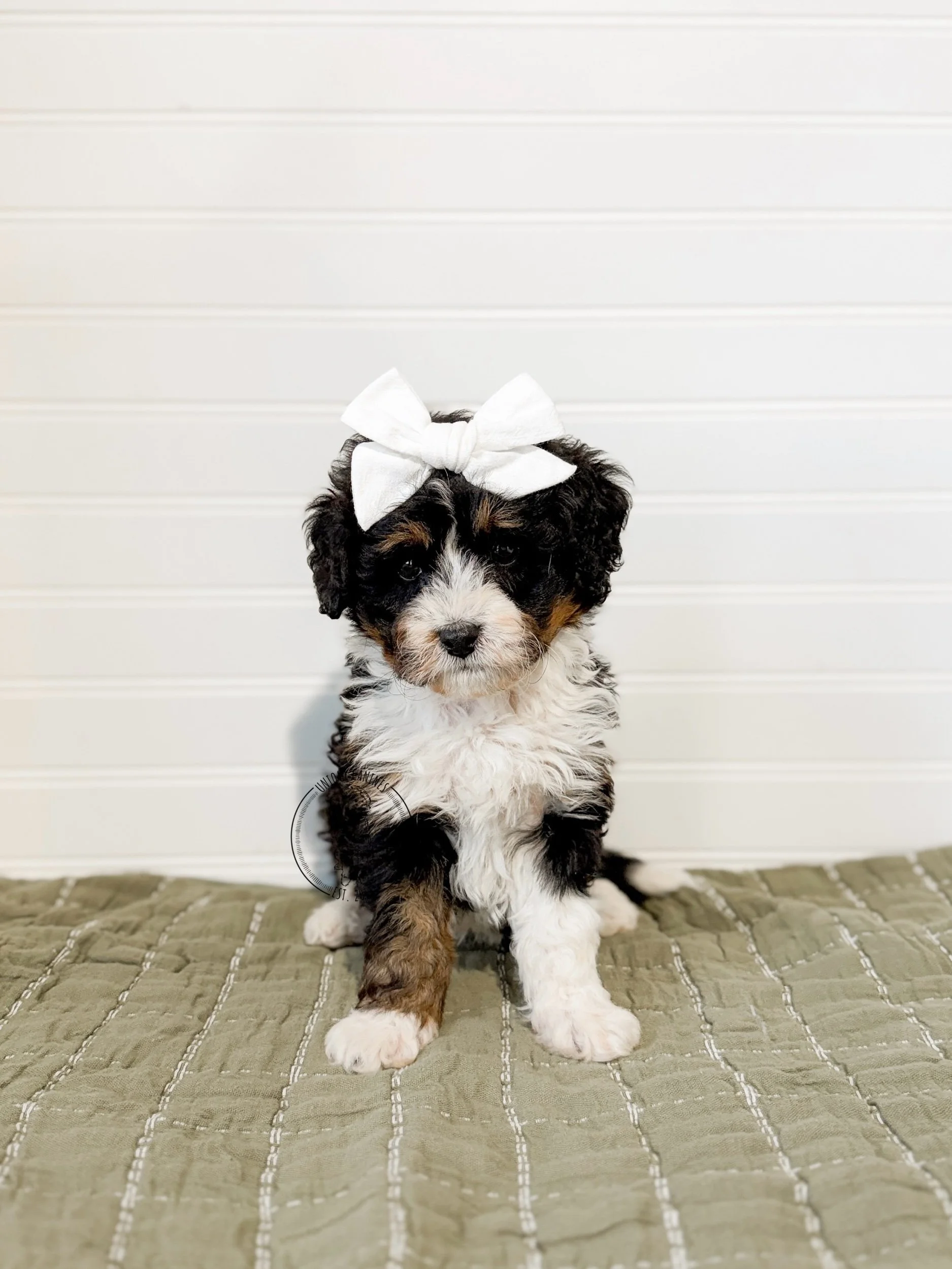 eZy Watermark_19-02-2026_04-48-49-3240PM.jpeg