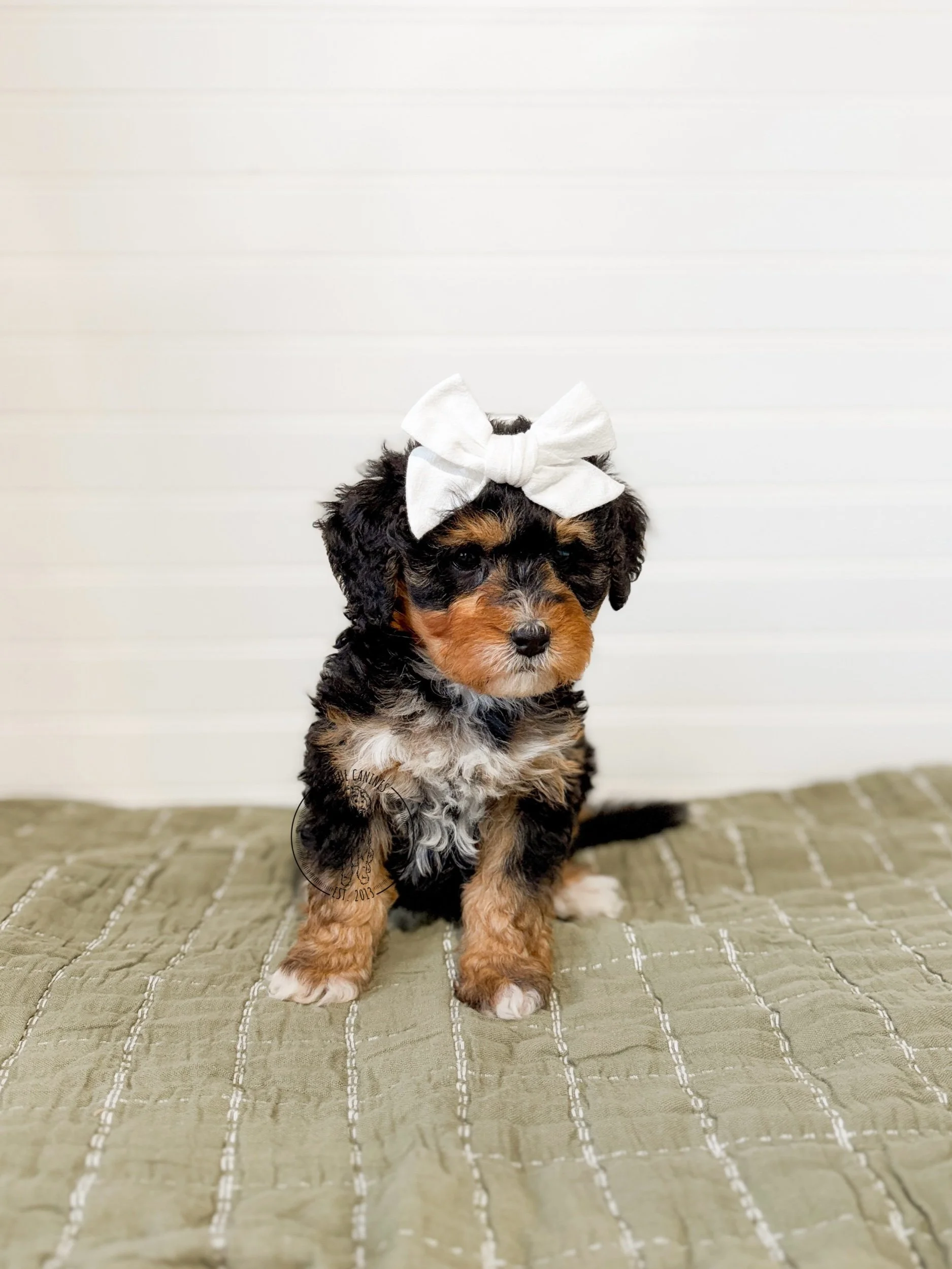 eZy Watermark_19-02-2026_04-48-48-7870PM.jpeg