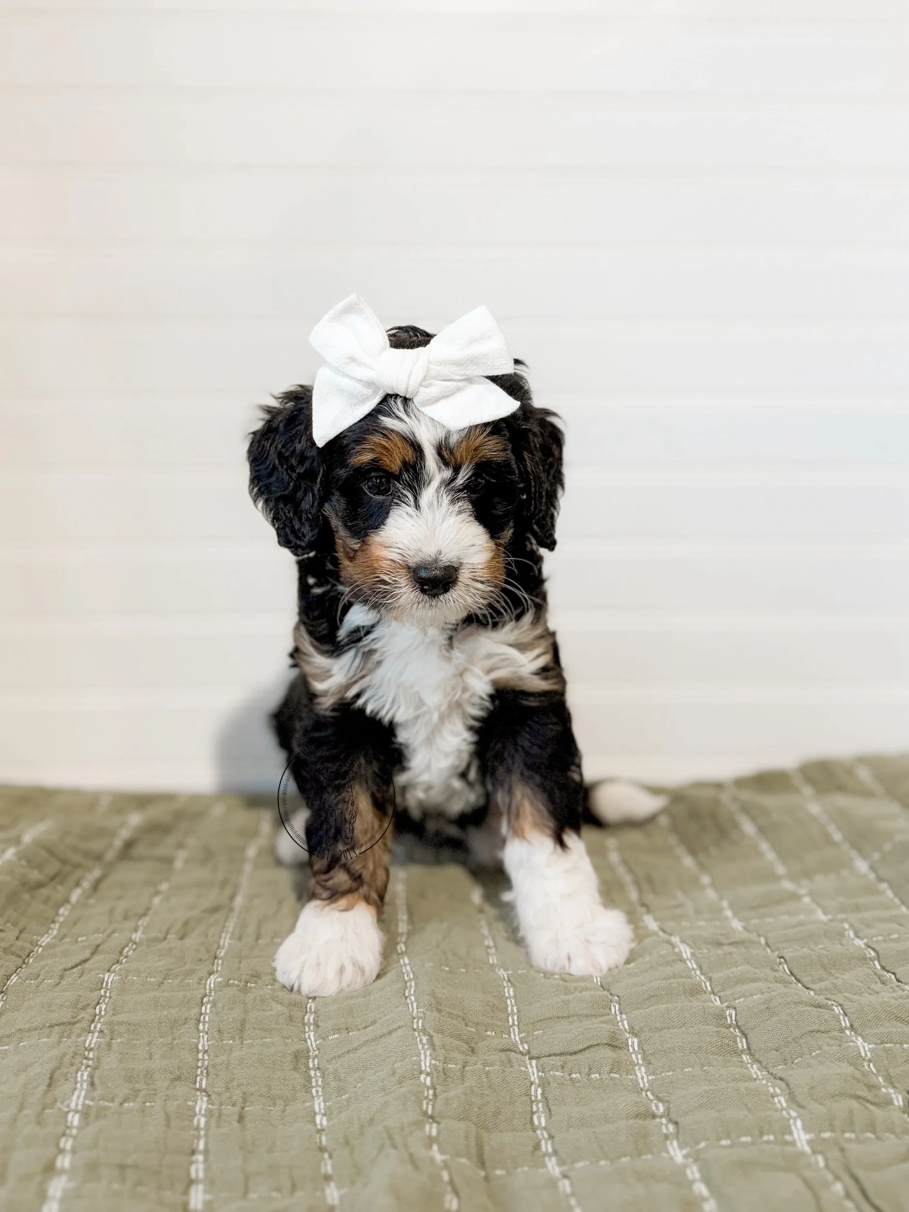 eZy Watermark_19-02-2026_04-48-49-6900PM.jpeg