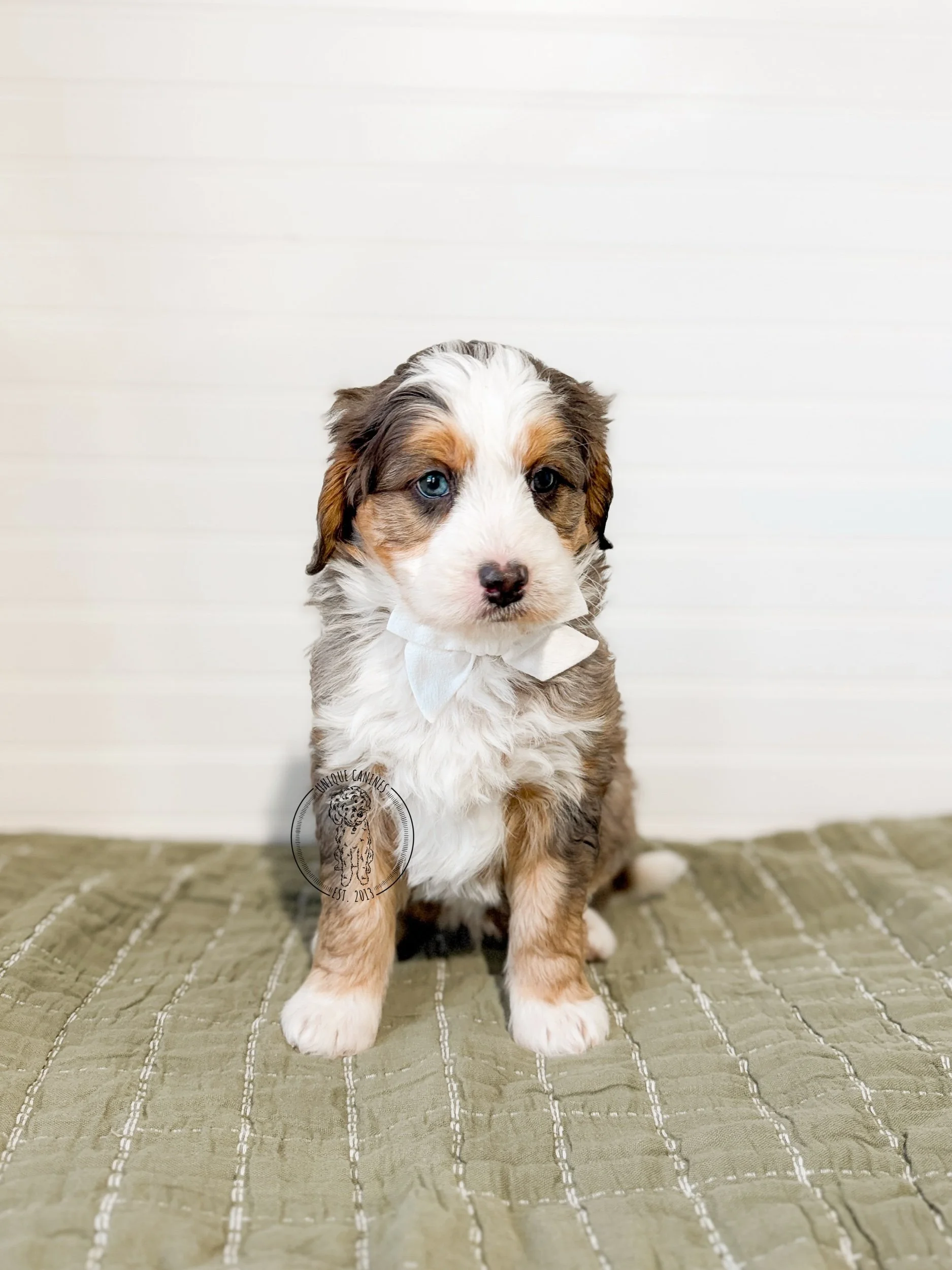 eZy Watermark_19-02-2026_04-48-50-0740PM.jpeg