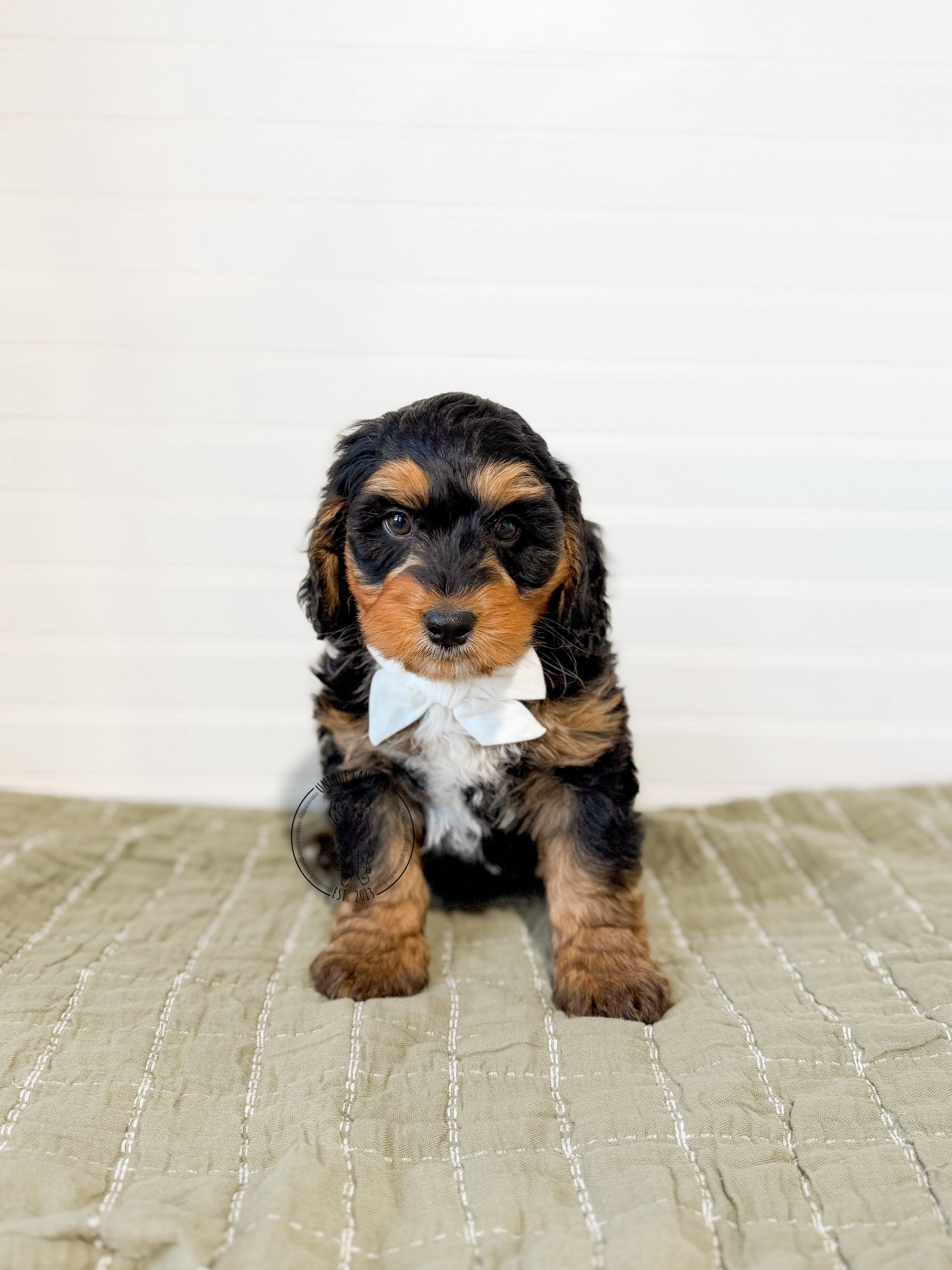 eZy Watermark_19-02-2026_04-48-49-8860PM.jpeg