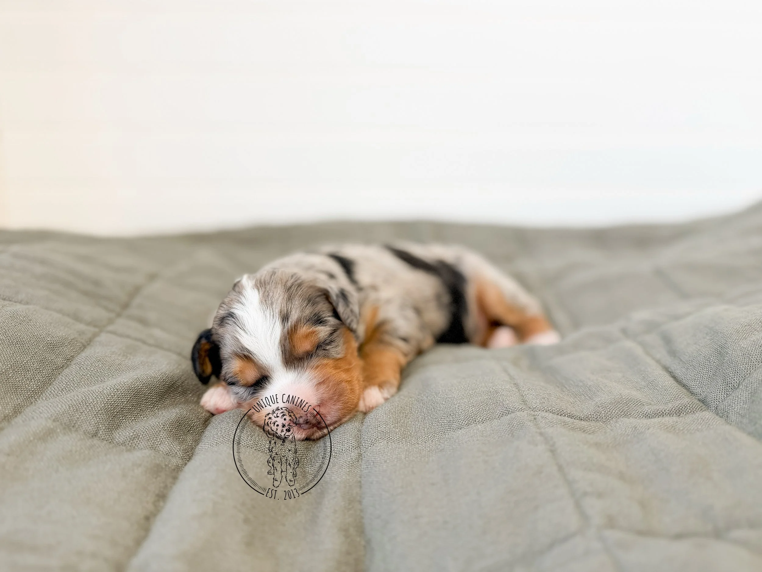 eZy Watermark_26-02-2026_01-55-22-5030PM.JPG