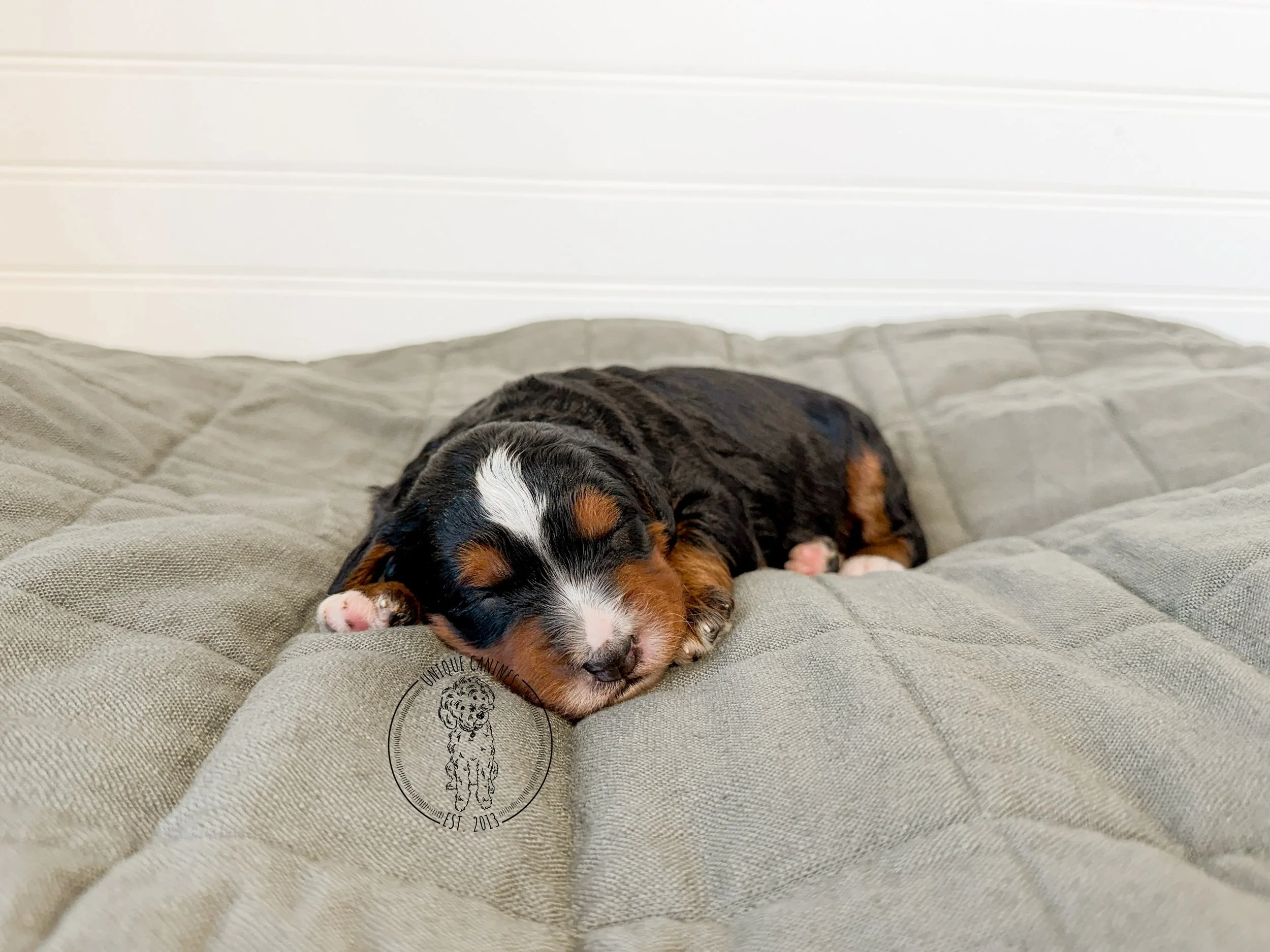 eZy Watermark_26-02-2026_01-55-22-9630PM.JPG