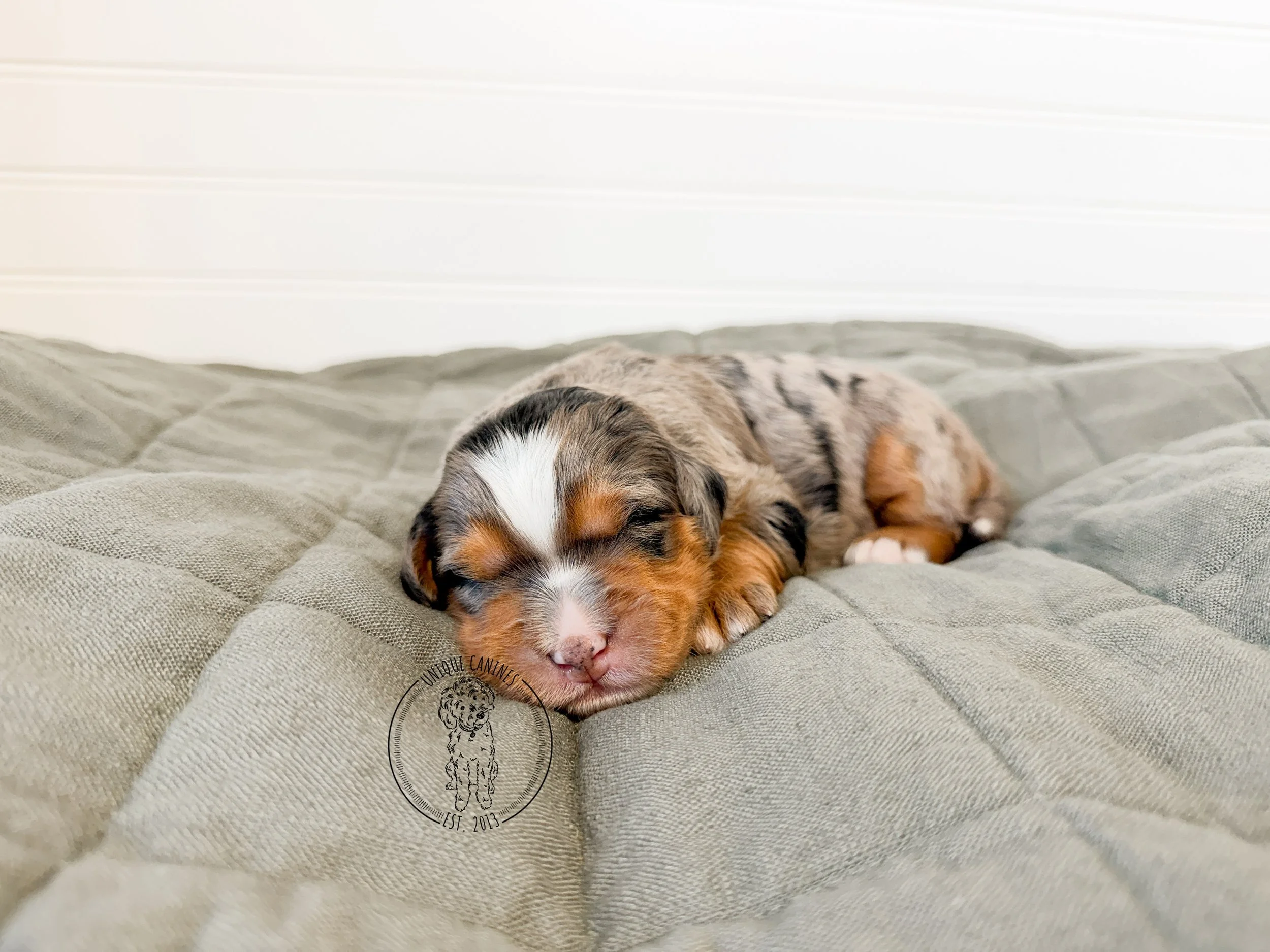 eZy Watermark_26-02-2026_01-55-23-6230PM.JPG