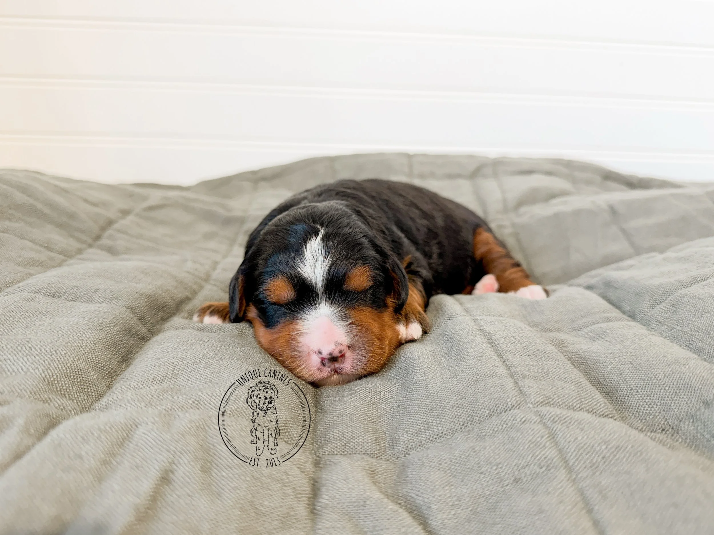 eZy Watermark_26-02-2026_01-55-23-1770PM.JPG