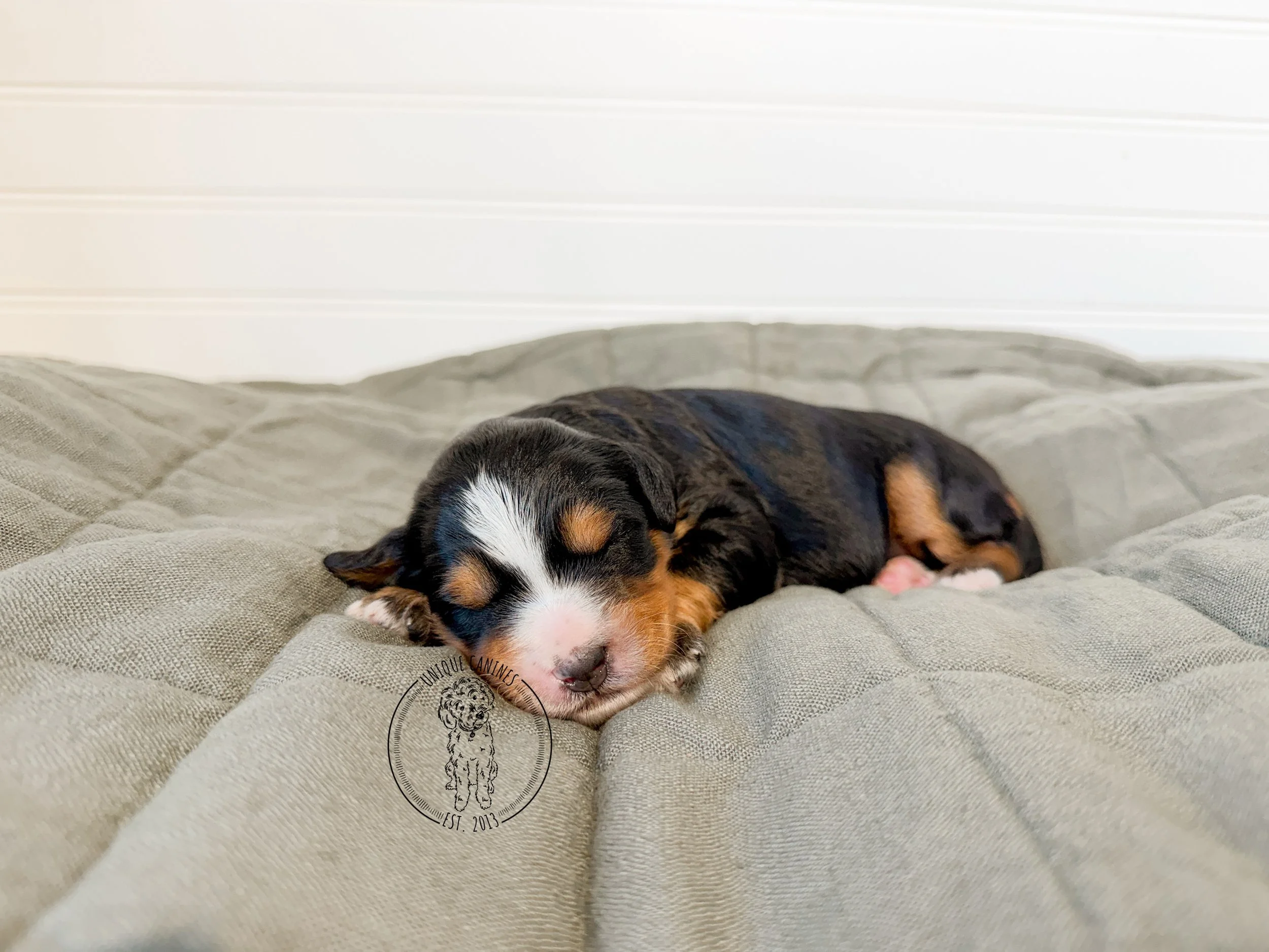 eZy Watermark_26-02-2026_01-55-23-4160PM.JPG