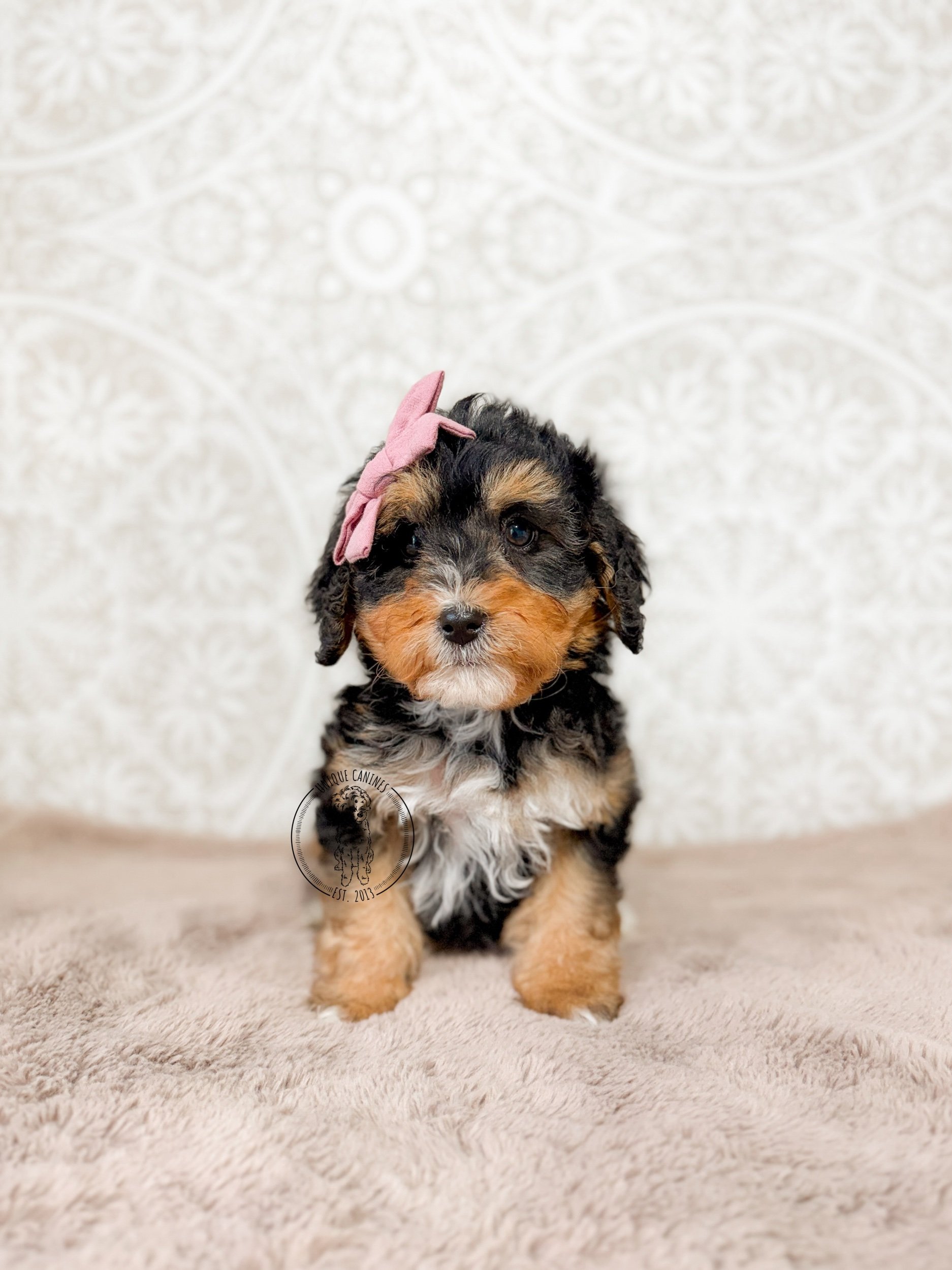 eZy Watermark_05-03-2026_01-19-32-2280PM.jpeg