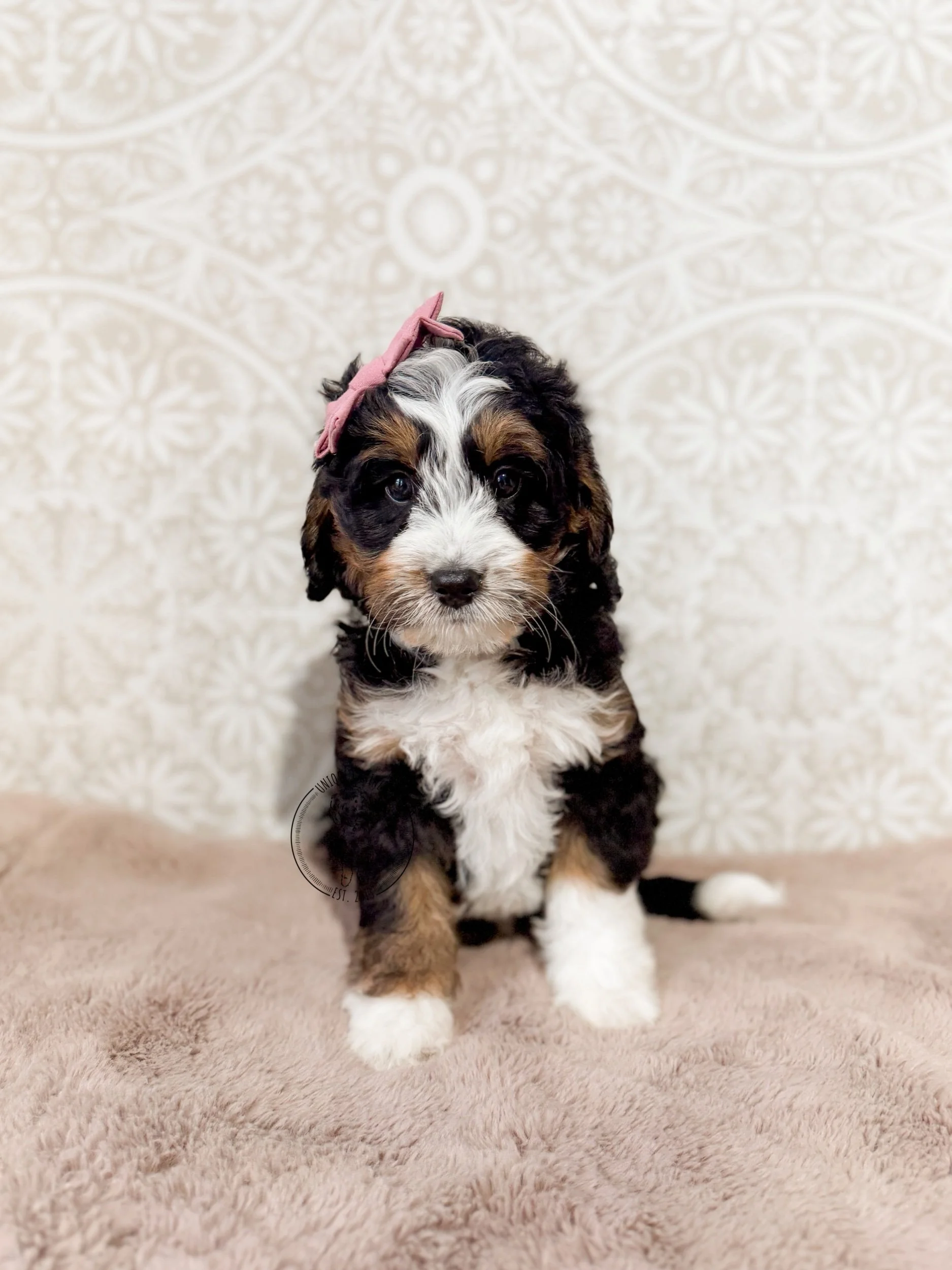 eZy Watermark_05-03-2026_01-19-32-5250PM.jpeg