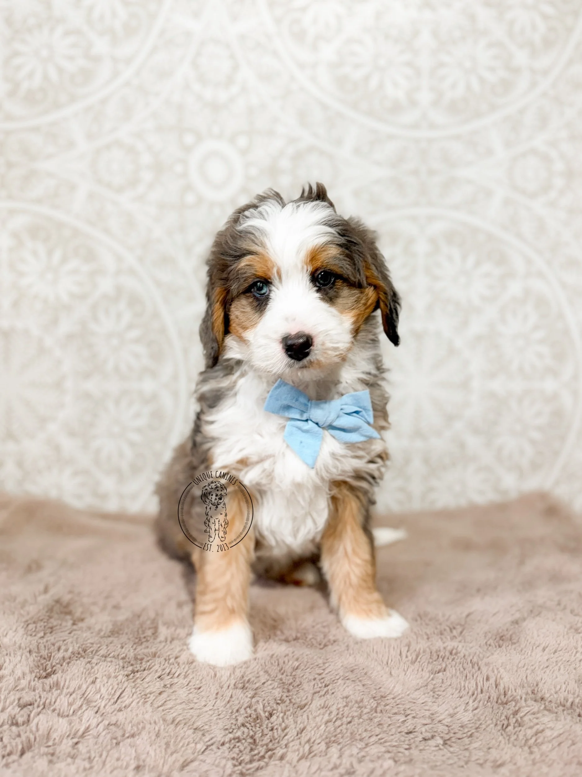 eZy Watermark_05-03-2026_01-19-32-9060PM.jpeg