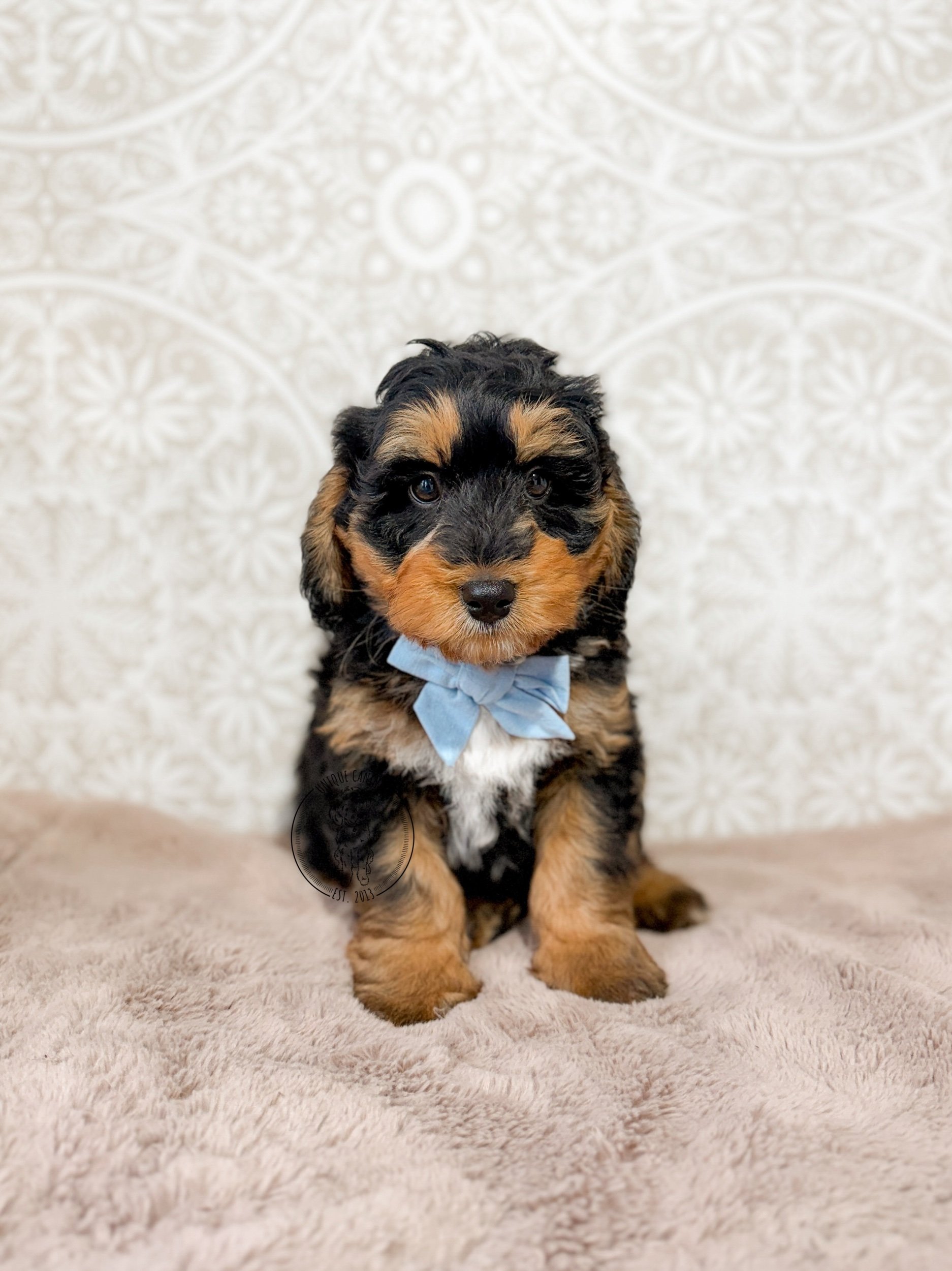 eZy Watermark_05-03-2026_01-19-32-7240PM.jpeg