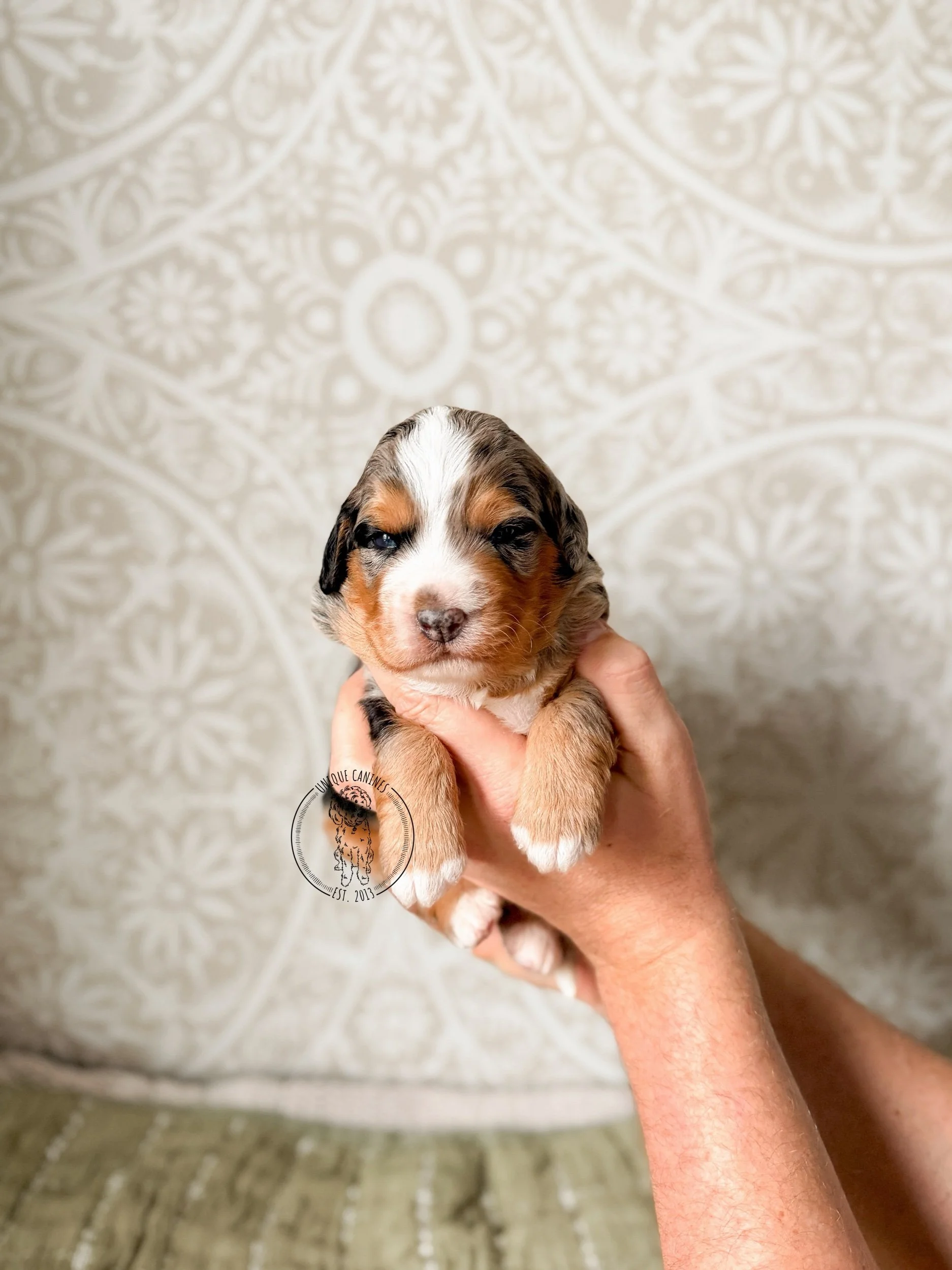 eZy Watermark_04-03-2026_08-10-16-1270PM.jpeg