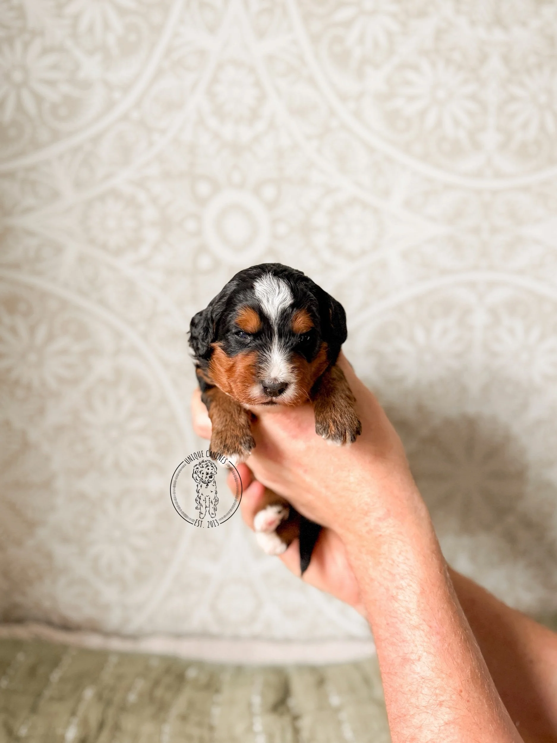 eZy Watermark_04-03-2026_08-10-16-4560PM.jpeg