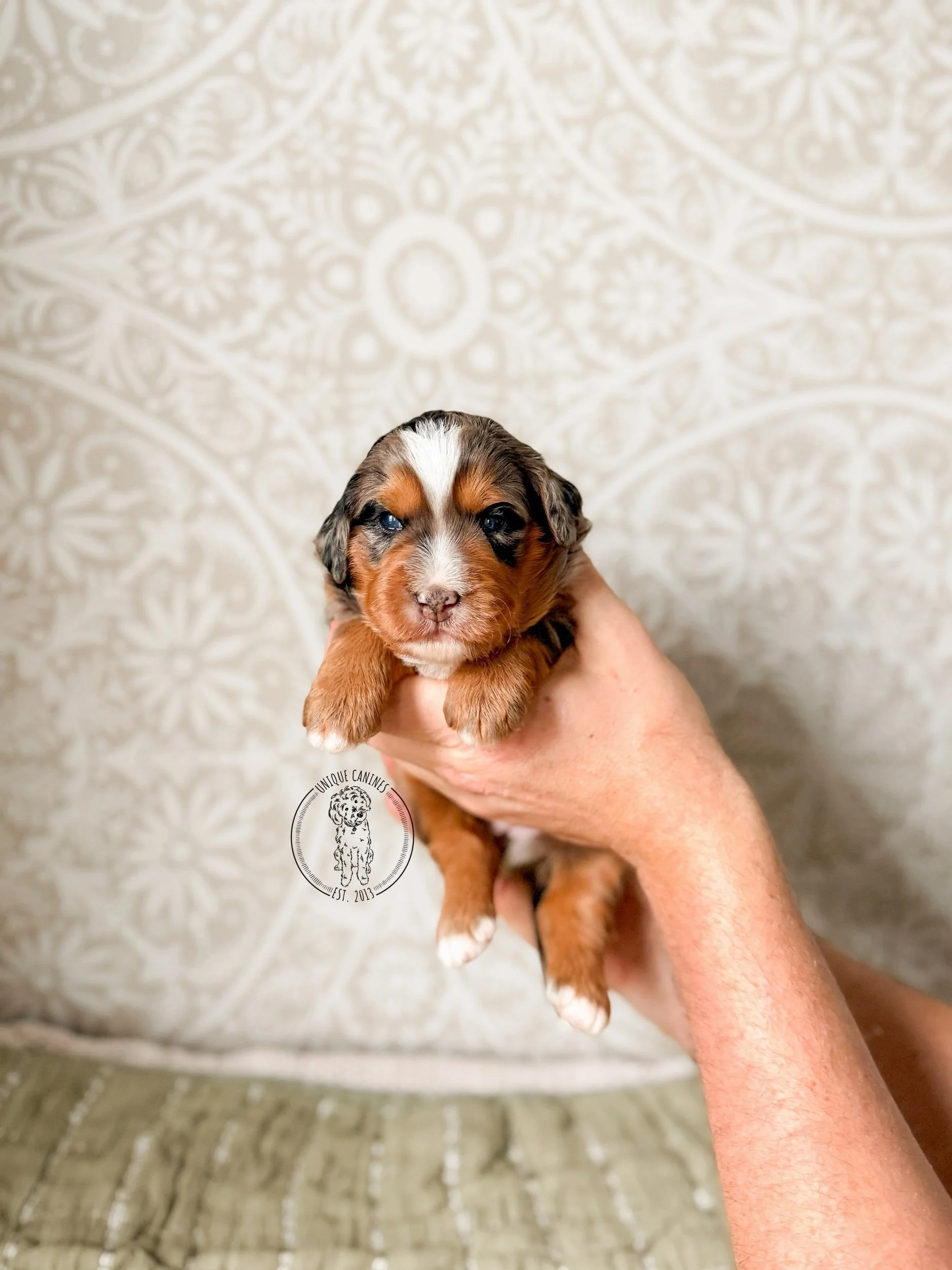 eZy Watermark_04-03-2026_08-10-17-2710PM.jpeg