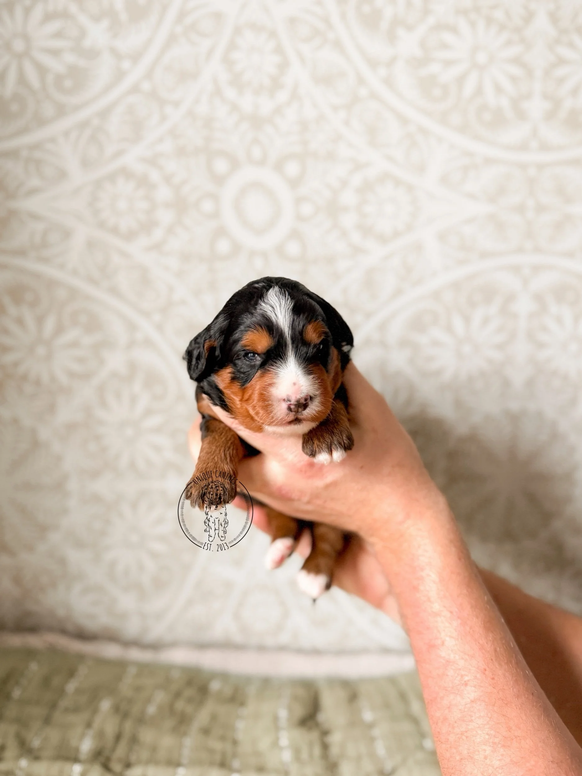 eZy Watermark_04-03-2026_08-10-16-7580PM.jpeg