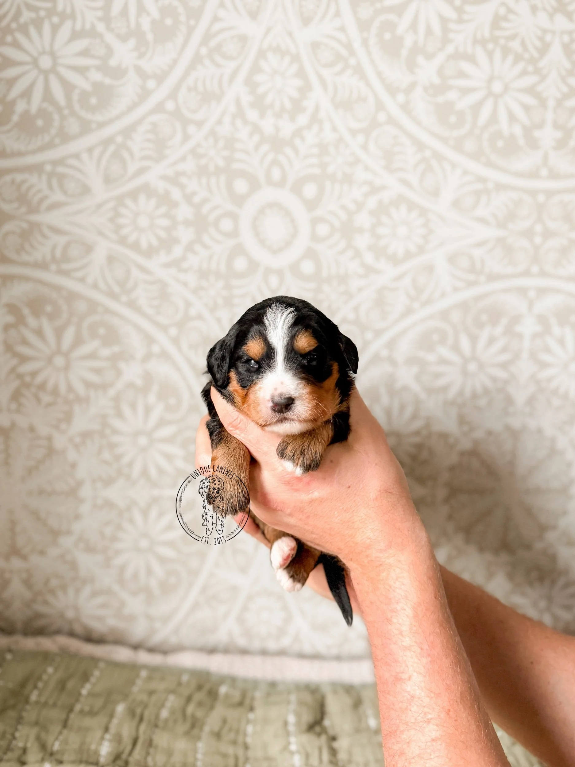 eZy Watermark_04-03-2026_08-10-17-0620PM.jpeg