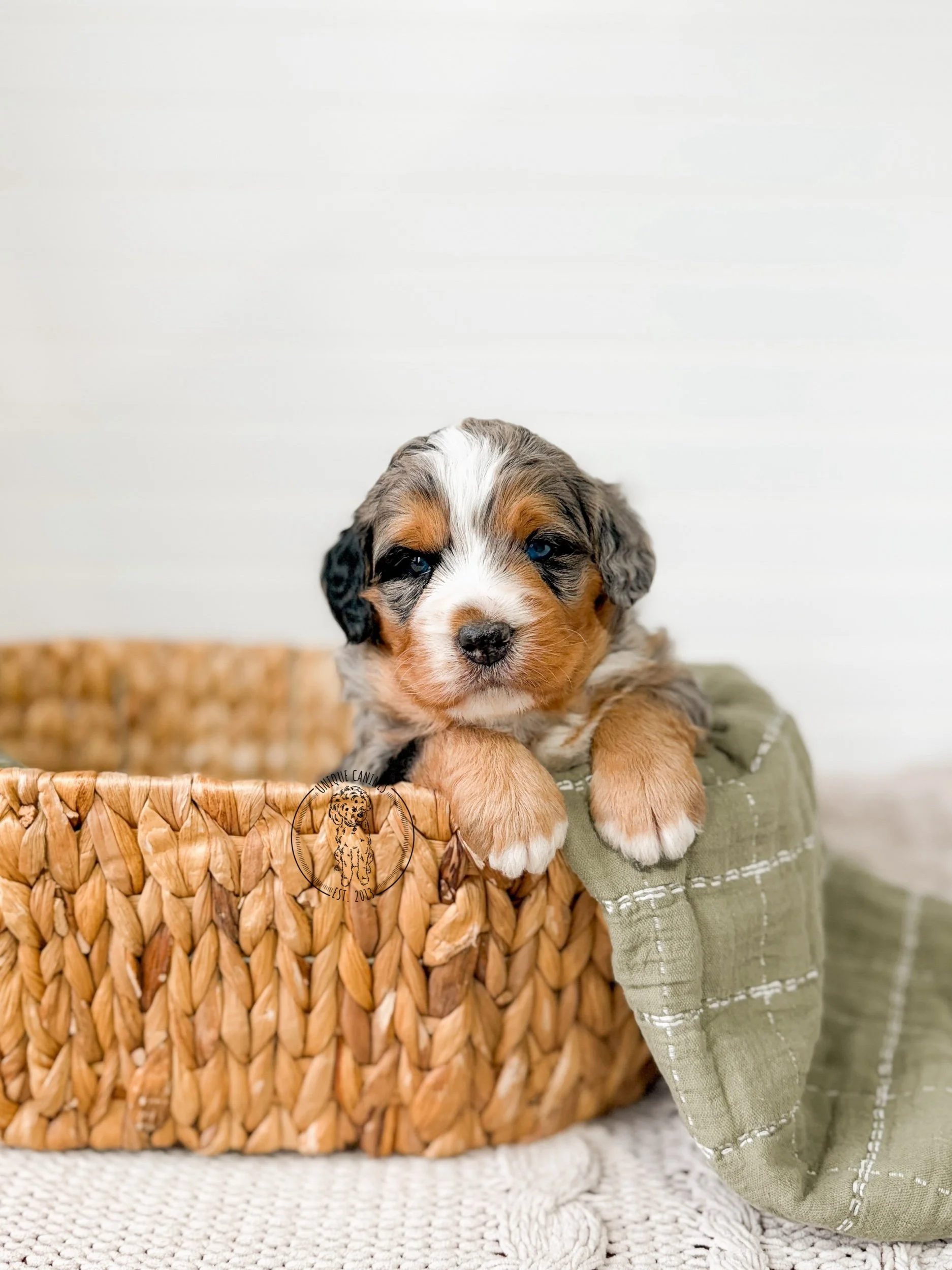 eZy Watermark_16-03-2026_09-27-42-0110AM.jpeg