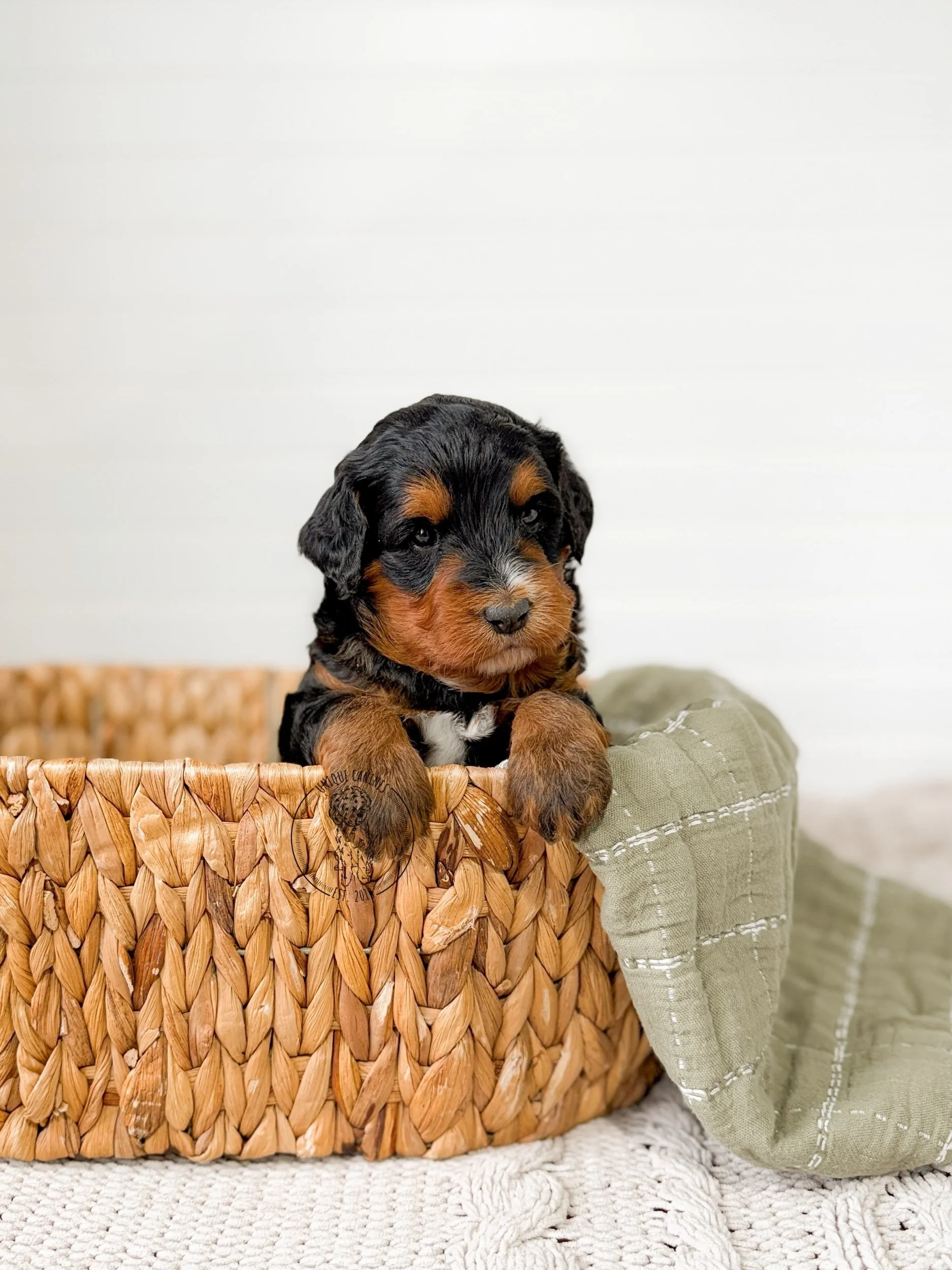 eZy Watermark_16-03-2026_09-27-40-9620AM.jpeg