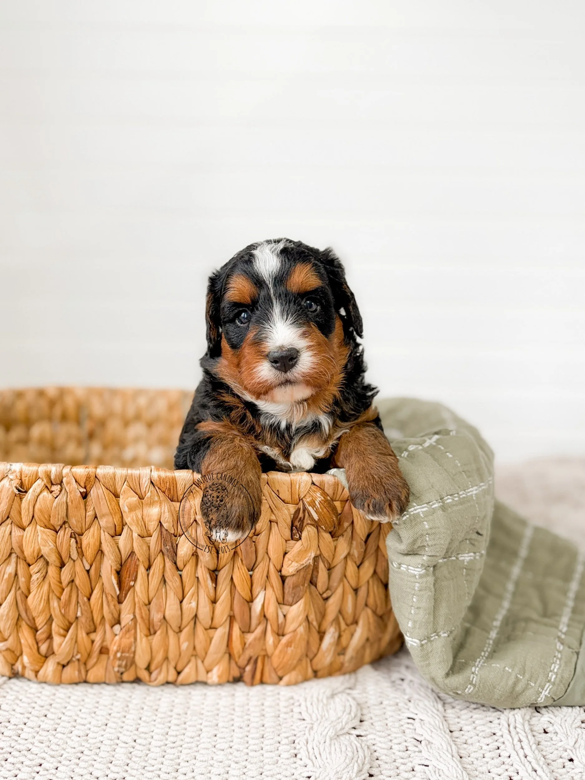 eZy Watermark_16-03-2026_09-27-41-2570AM.jpeg