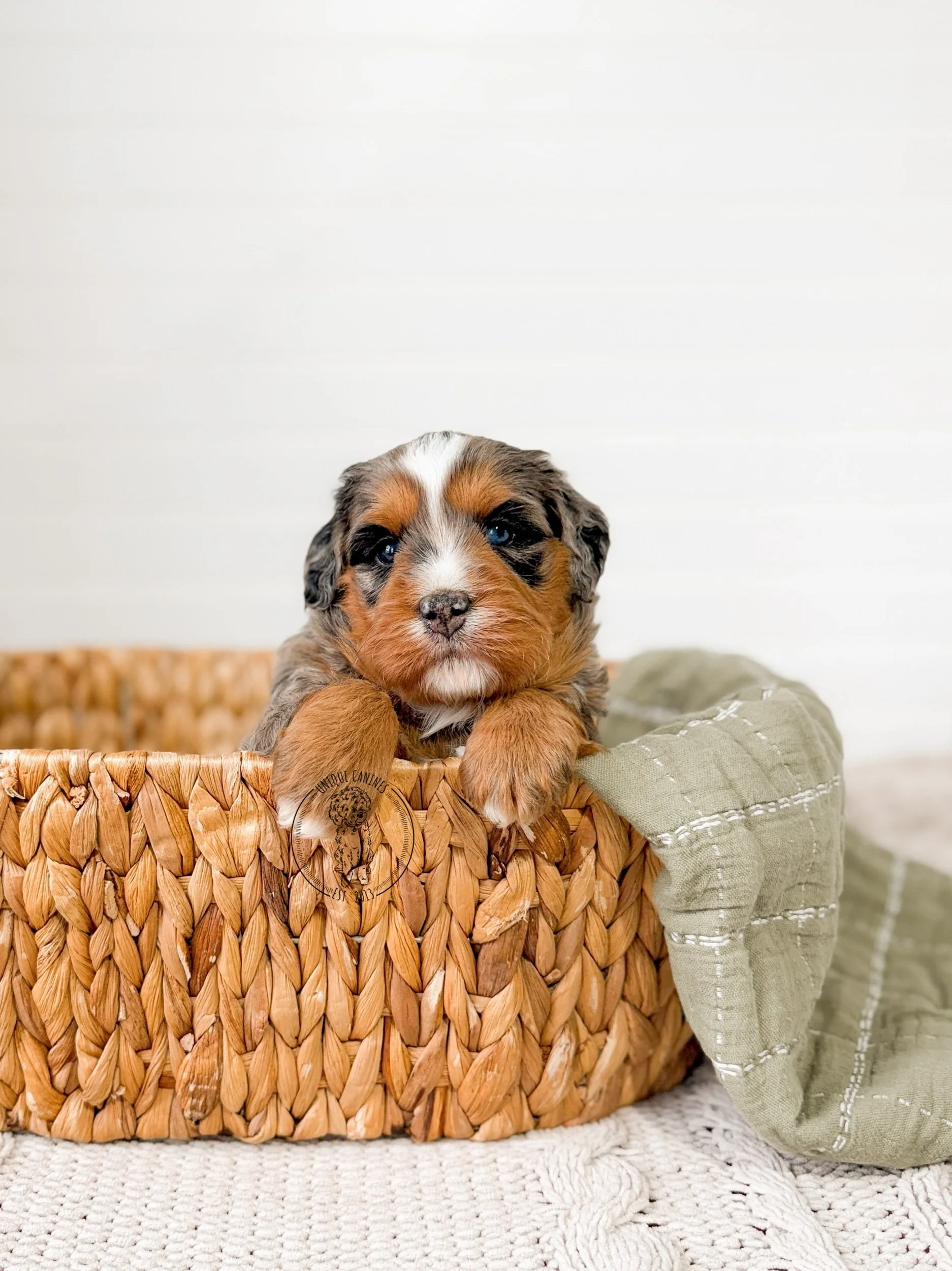 eZy Watermark_16-03-2026_09-27-41-4480AM.jpeg