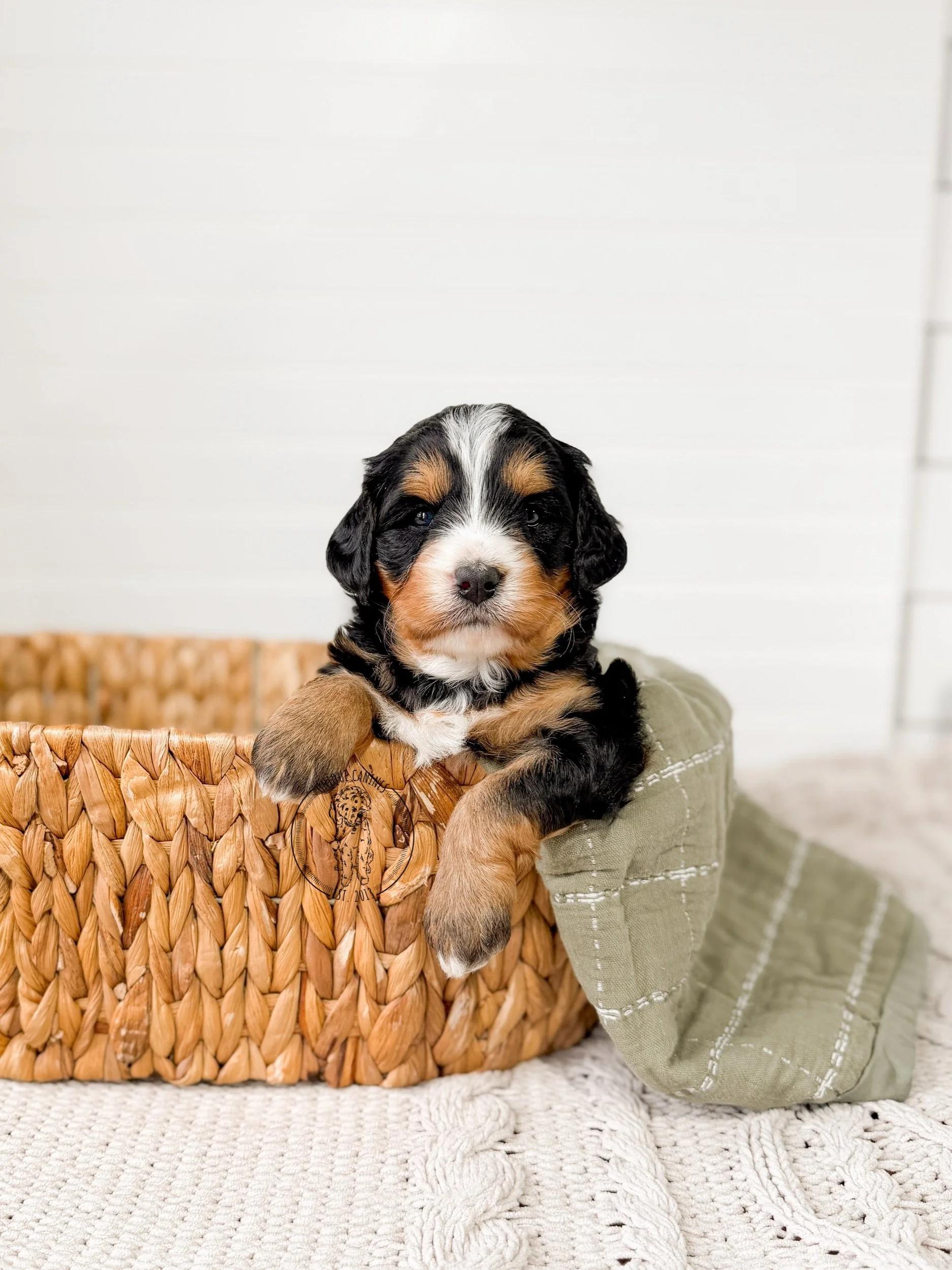 eZy Watermark_16-03-2026_09-27-41-8200AM.jpeg