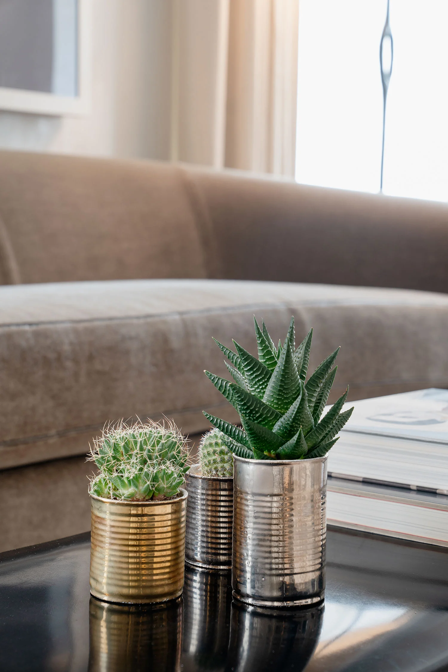 Stephen Karlisch Blackburn Succulents