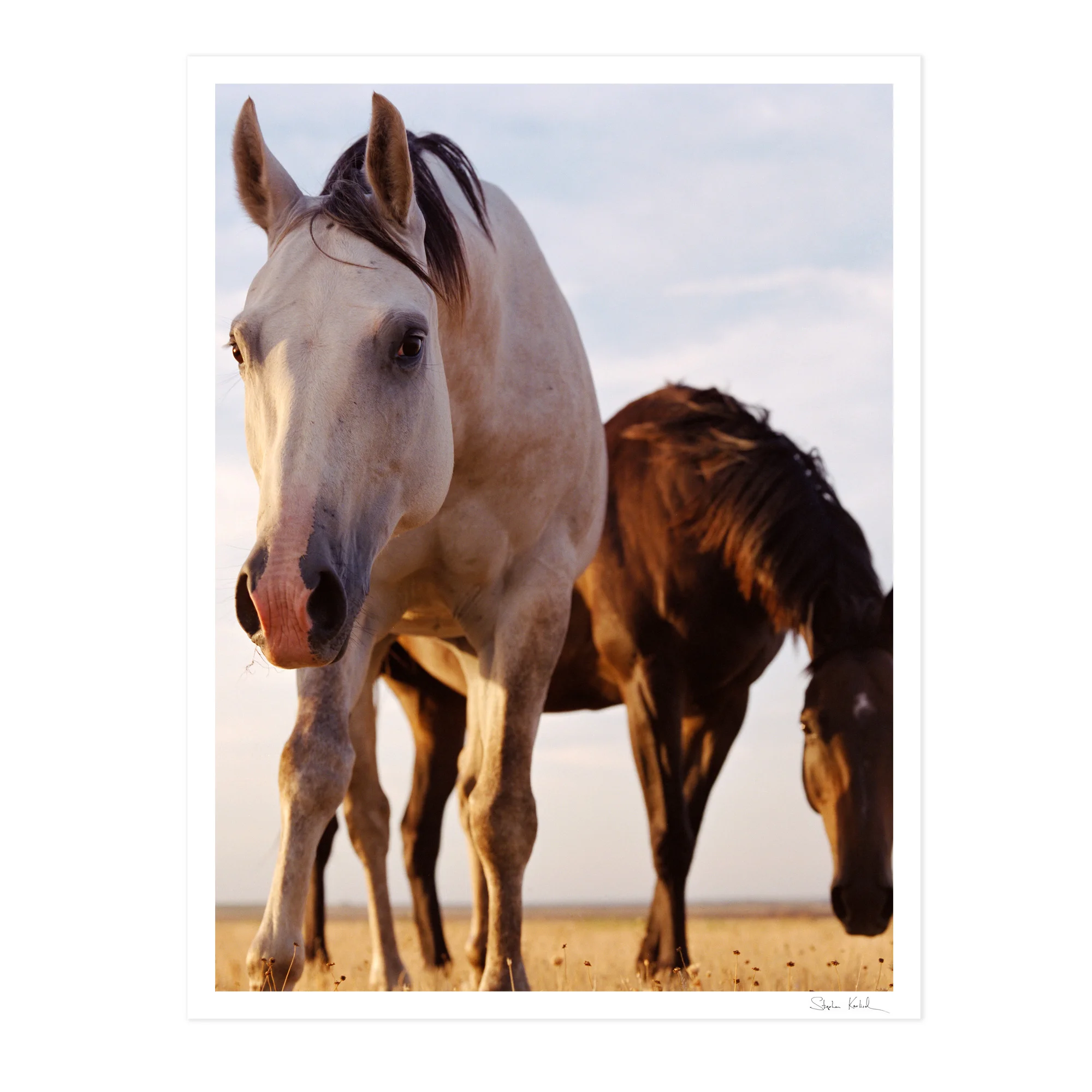 karlisch_frame_horses_nude.jpg