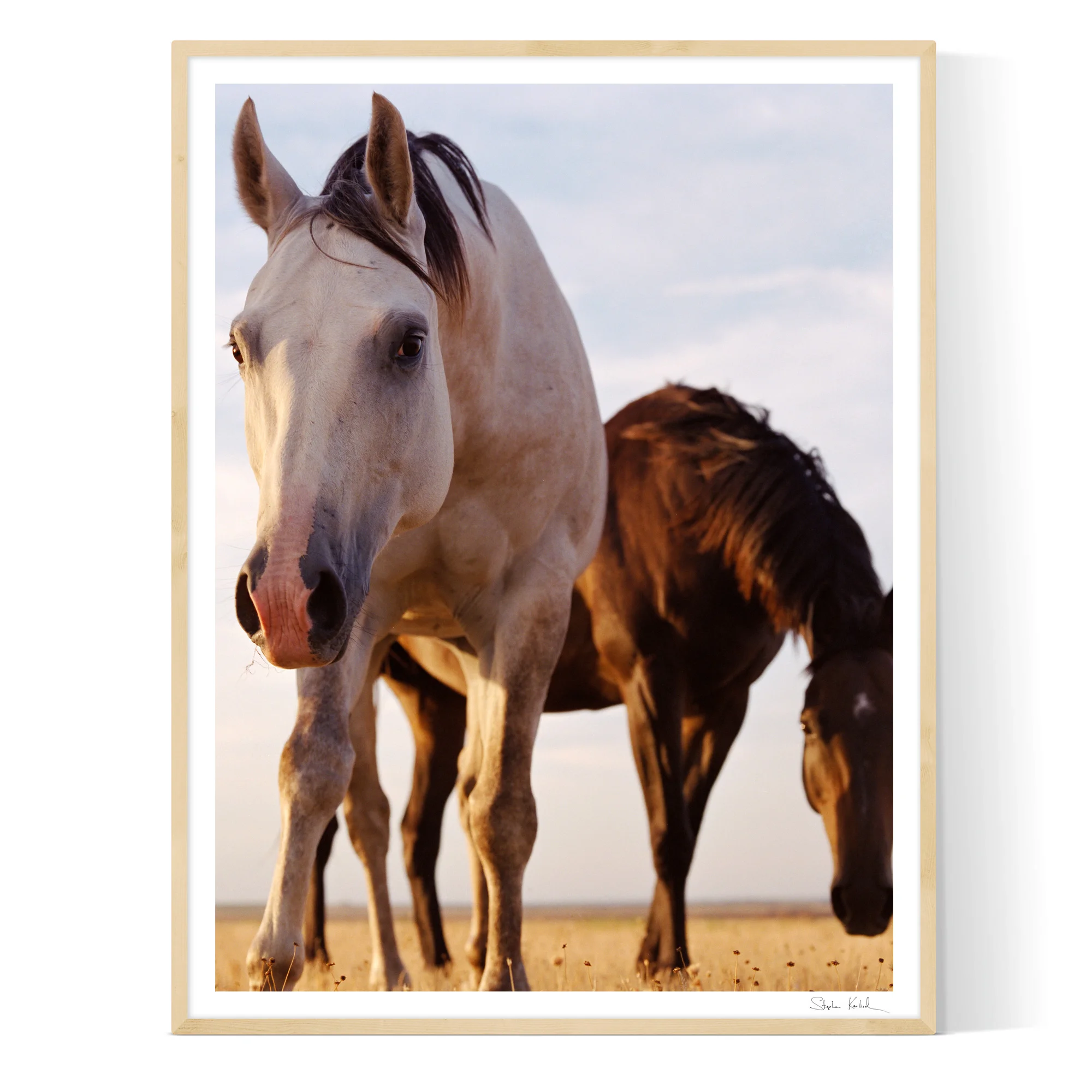 karlisch_frame_horses_natural.jpg