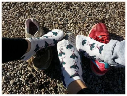 kale socks.jpg