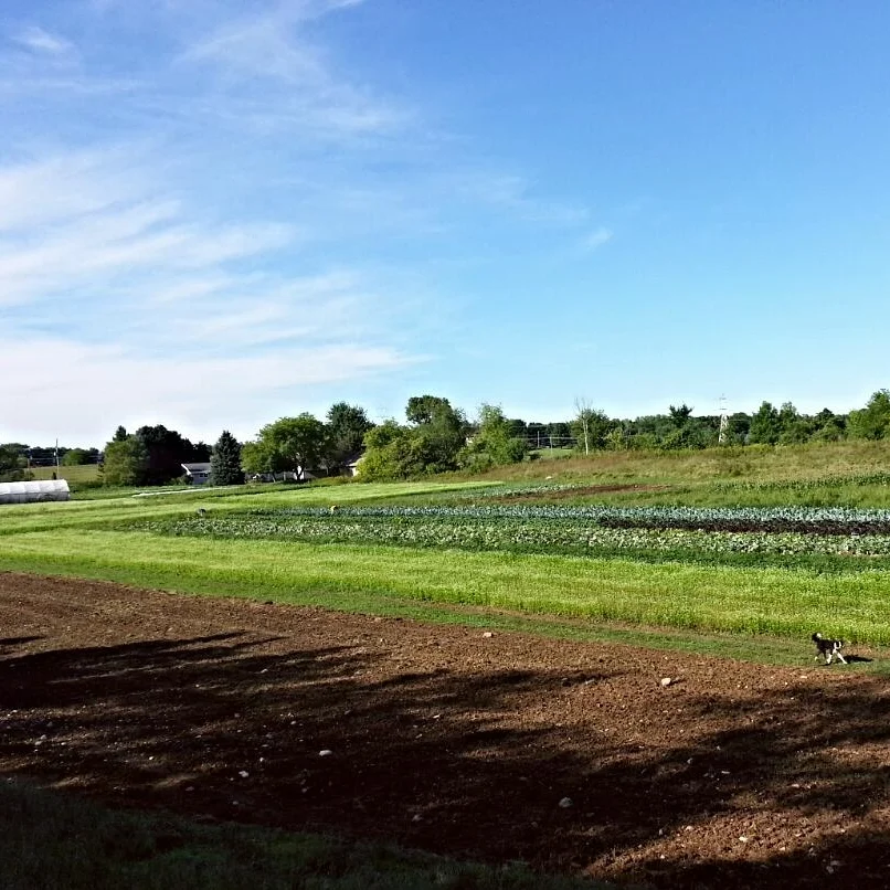 2015-09-09_13.31.23.jpg