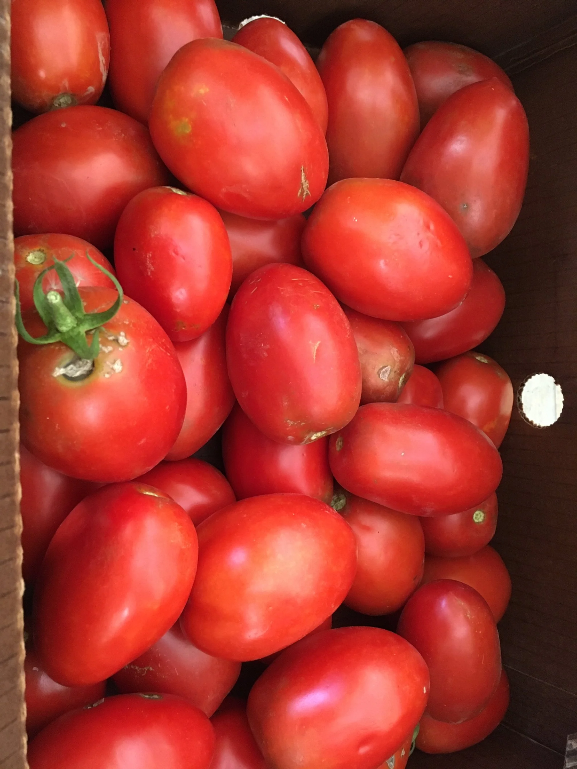 Bulk Roma Tomato Boxes