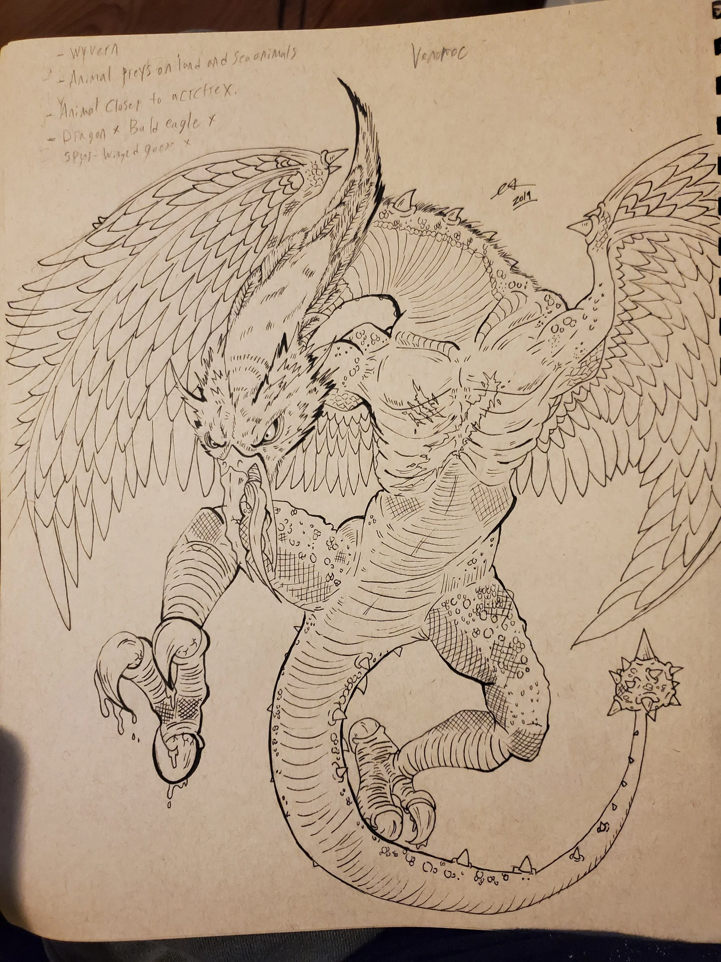 venaroc sketch HR (1).jpg