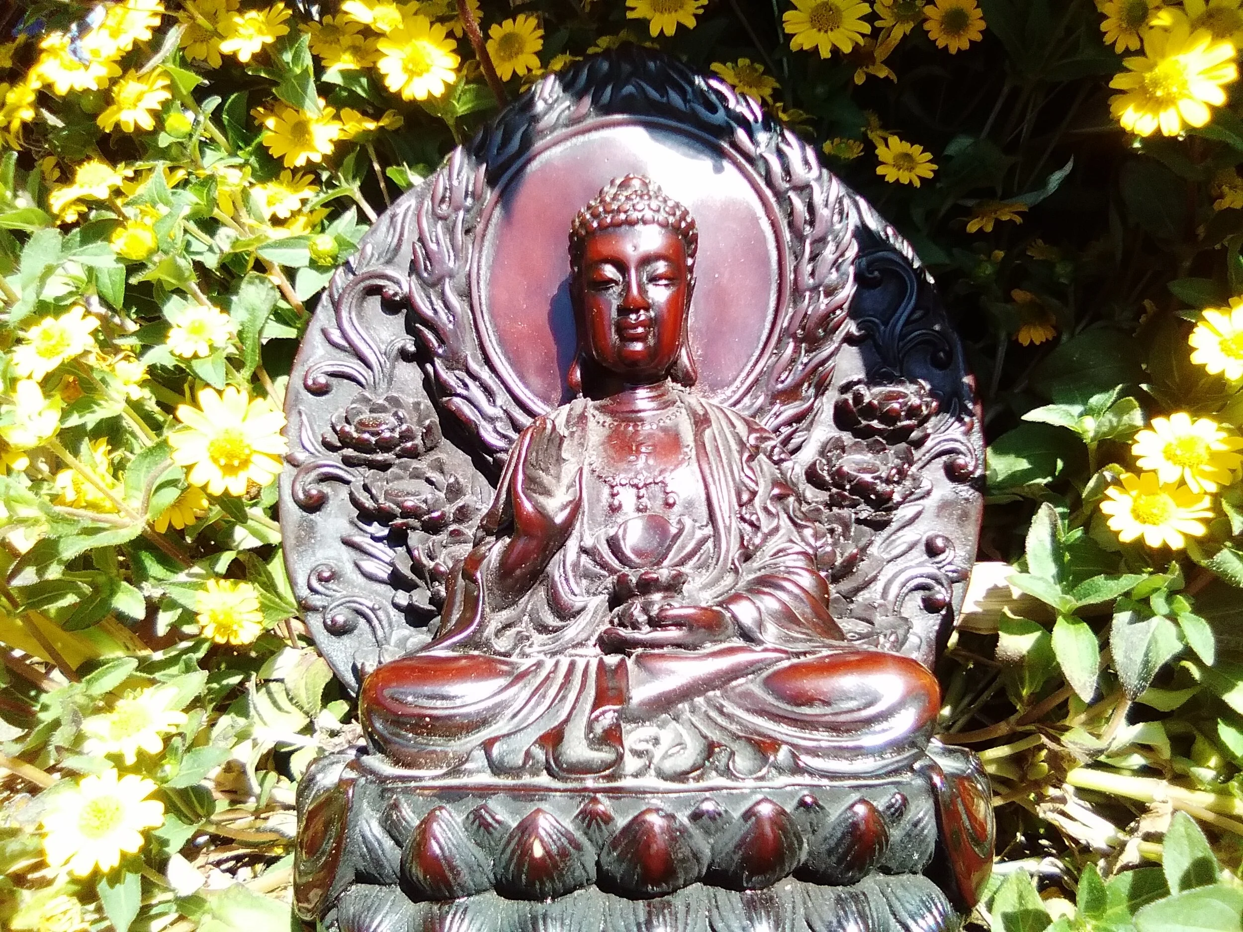 Eye-Opening Ceremony