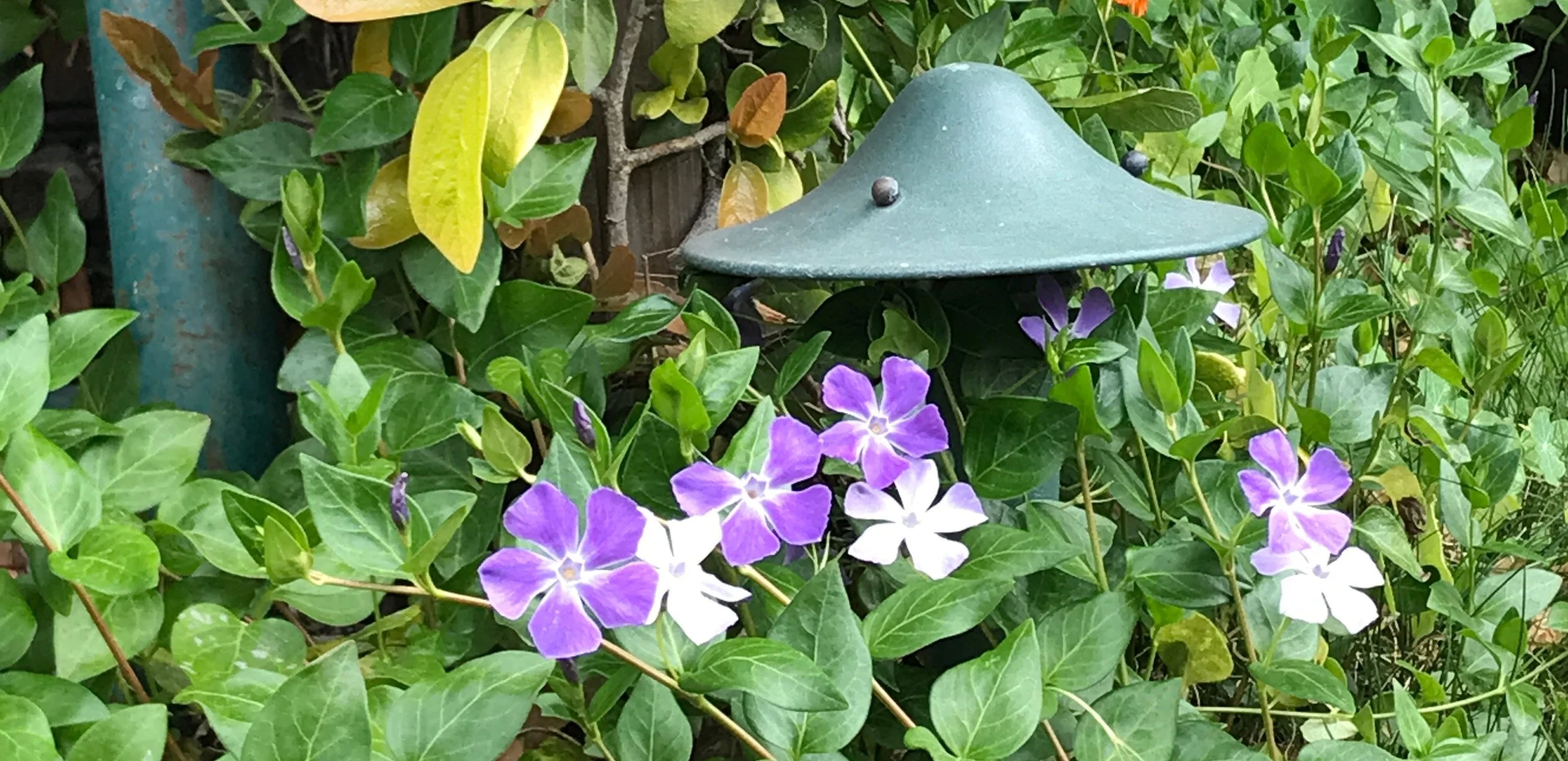Santa Cruz Zen Center