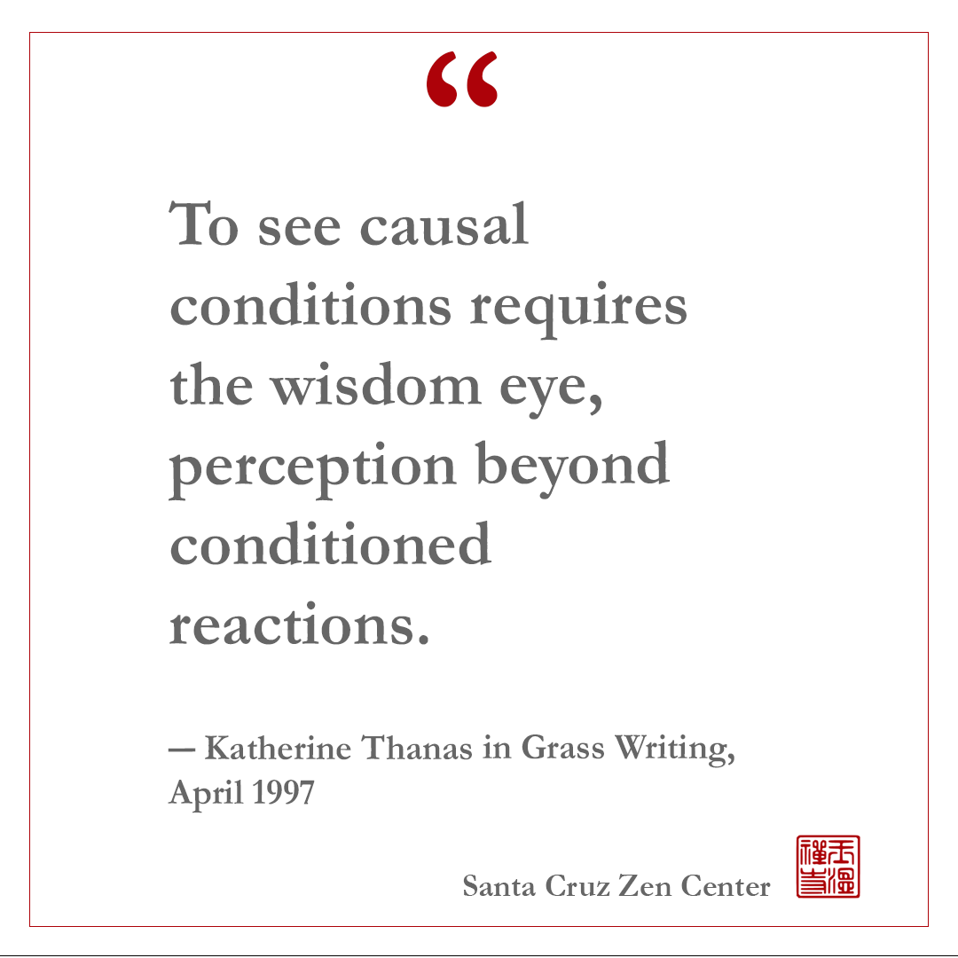 The Wisdom Eye - Katherine Thanas