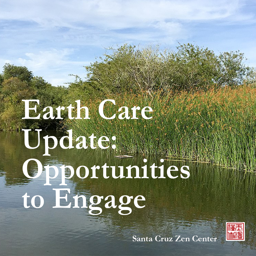 Earth Care Actions Nov - Dec