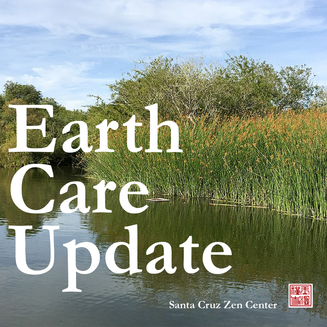 Earth Care/Climate Justice News - Next Meeting Dec 12