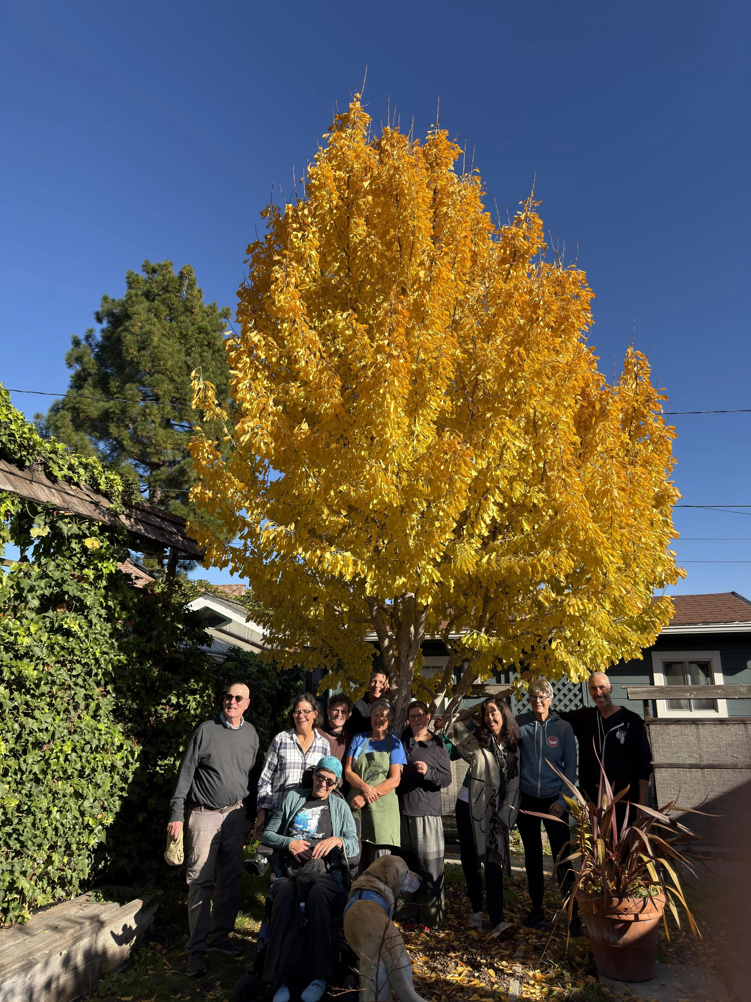 Last day of Rohatsu Sesshin 2025