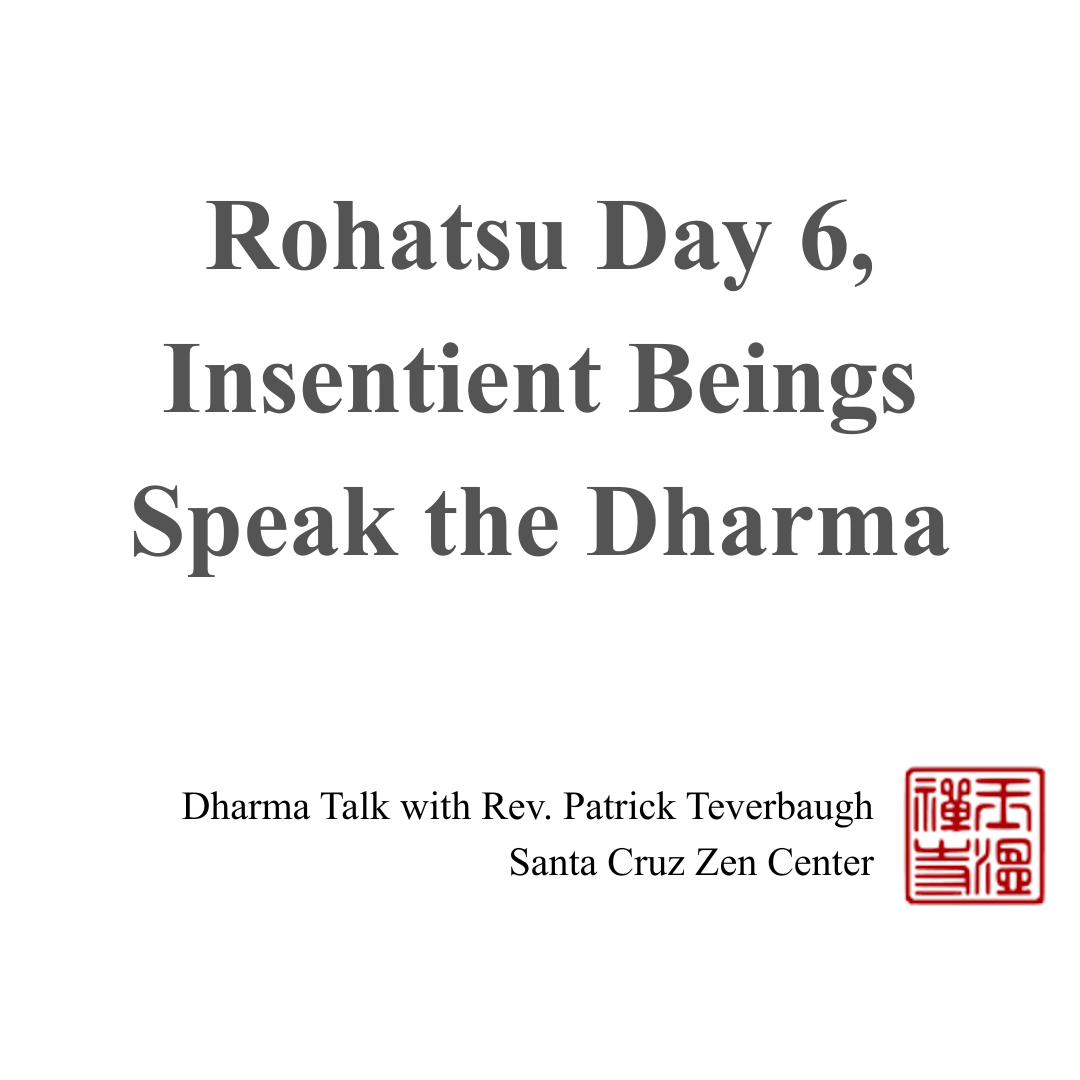 Rohatsu Day 6, Insentient Beings Speak the Dharma 