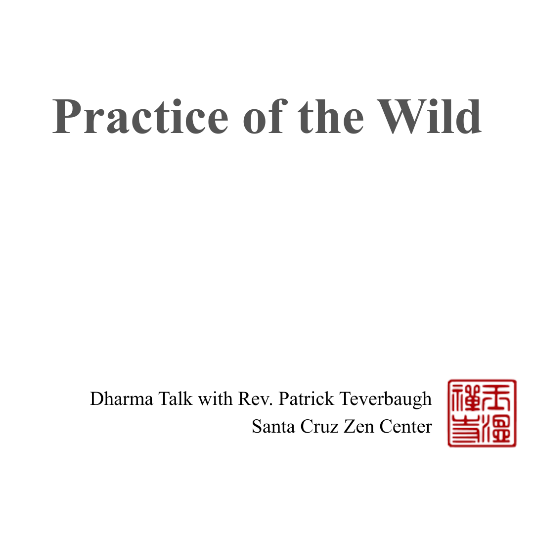 Practice of the Wild