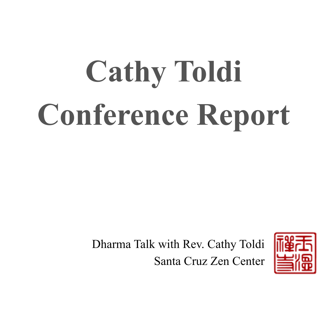 Cathy Toldi Conference Report Cathy Toldi Conference Report
