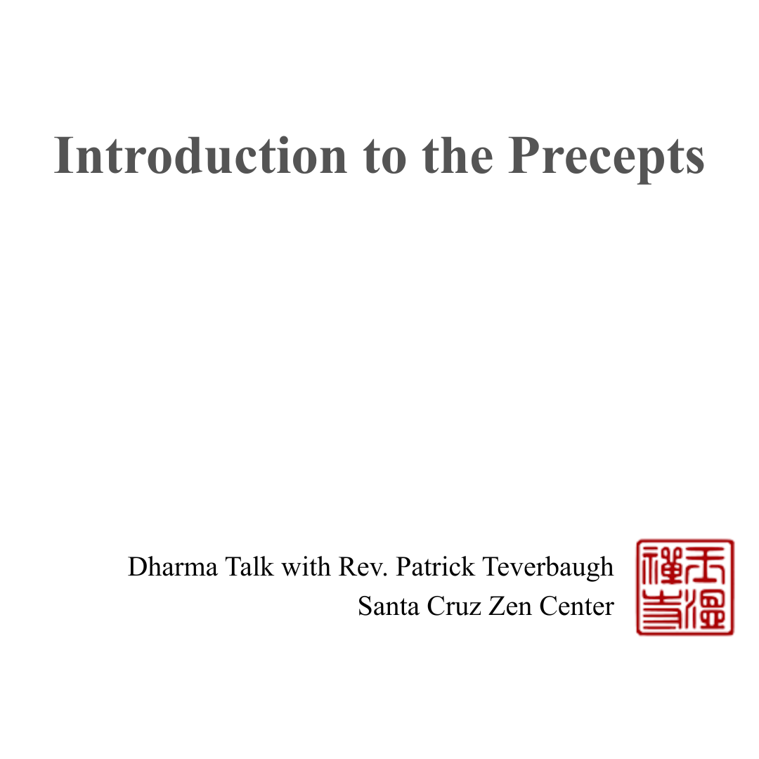 Introduction to the Precepts
