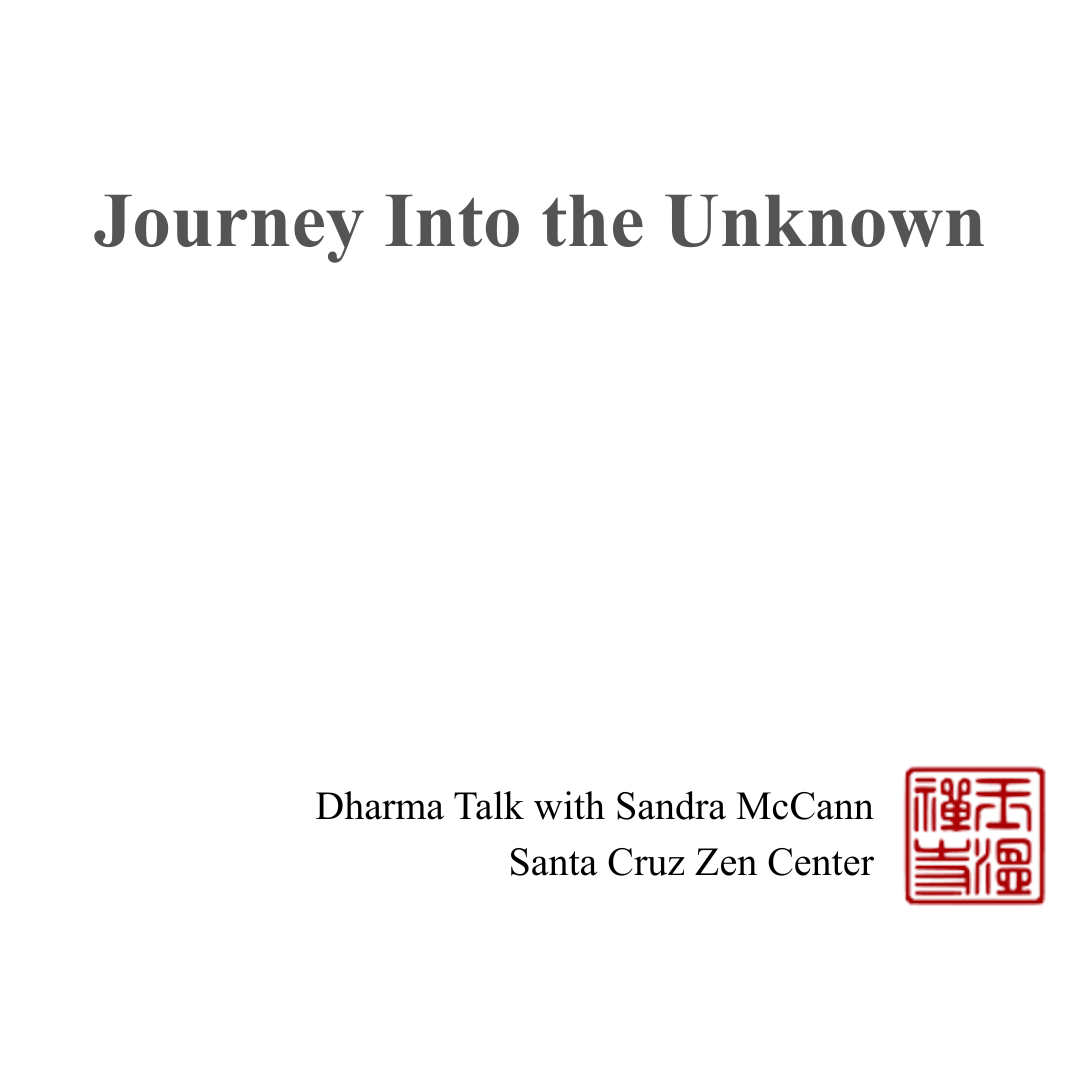 Journey Into the Unknown