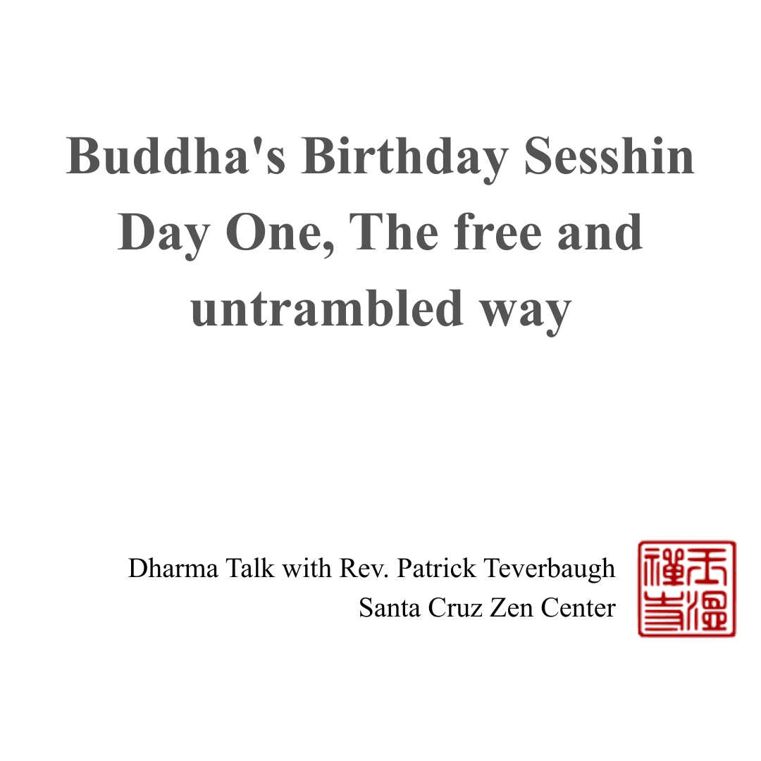 Buddha's Birthday Sesshin Day One, The free and untrambled way episode artwork