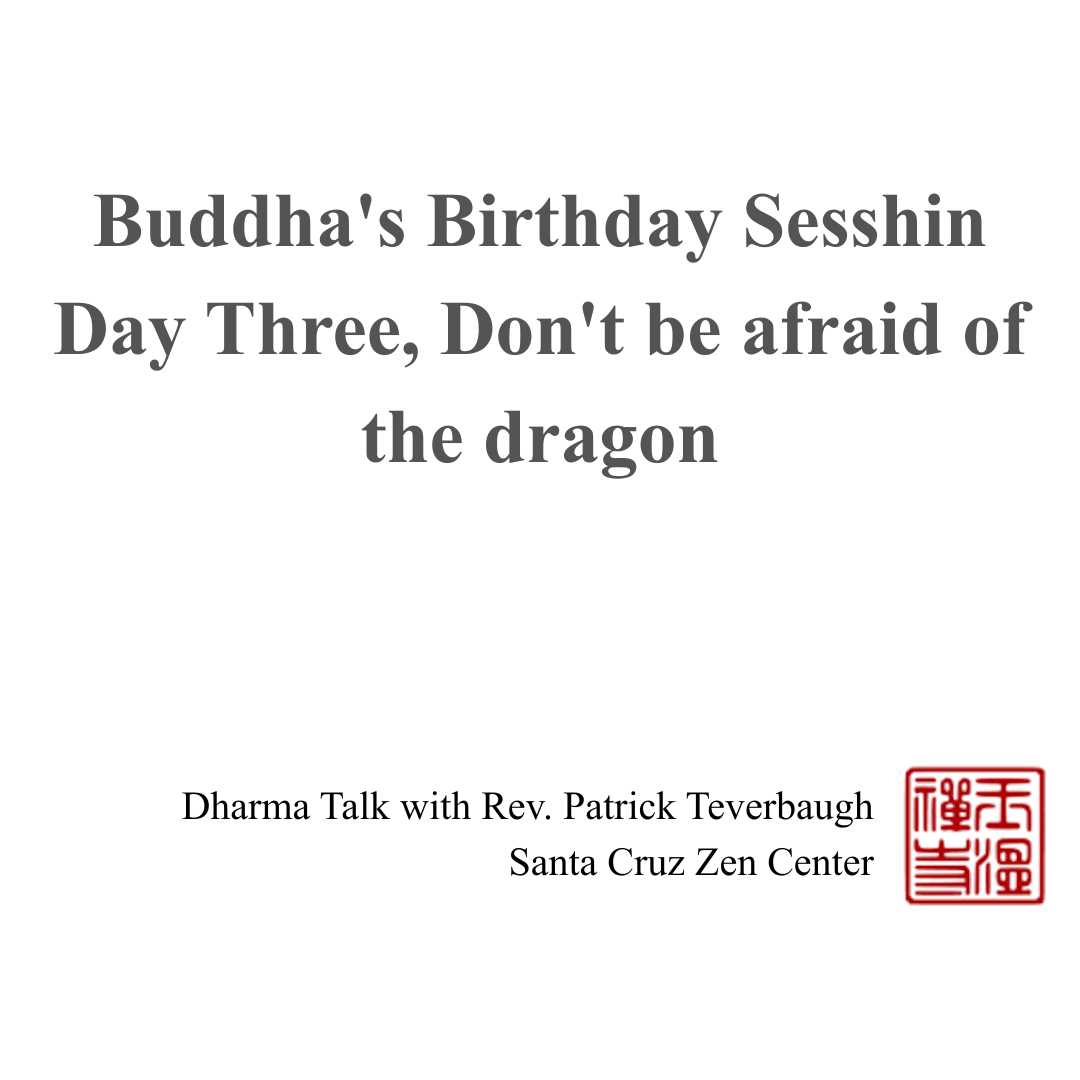 Buddha's Birthday Sesshin Day Three, Don't be afraid of the dragon
