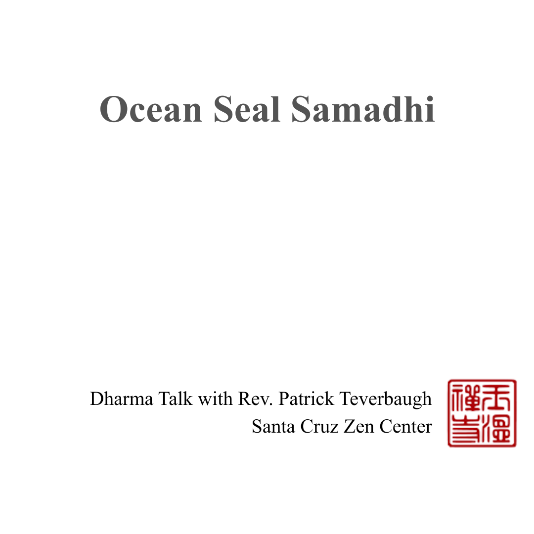 Ocean Seal Samadhi