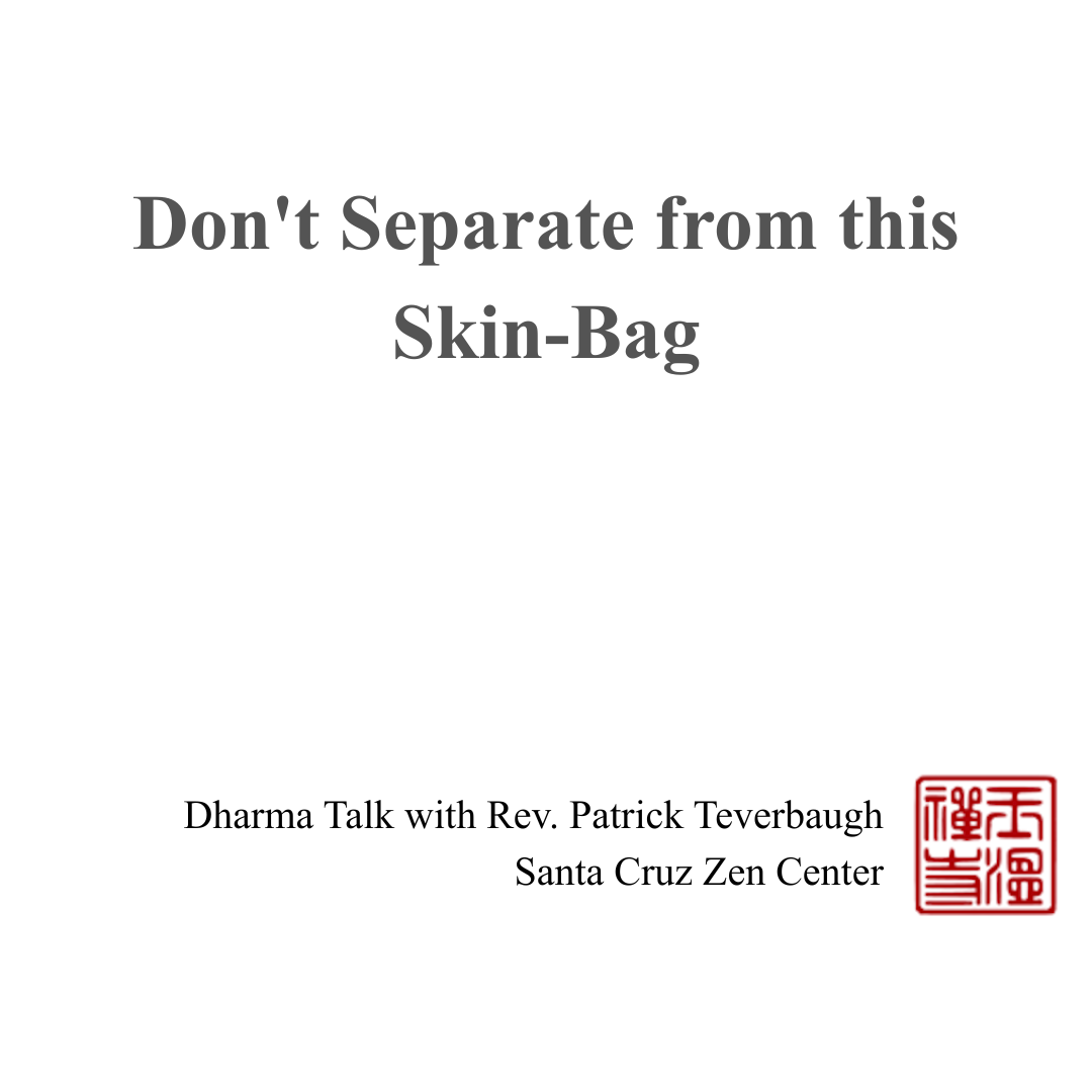 Don't Separate from this Skin-Bag episode artwork