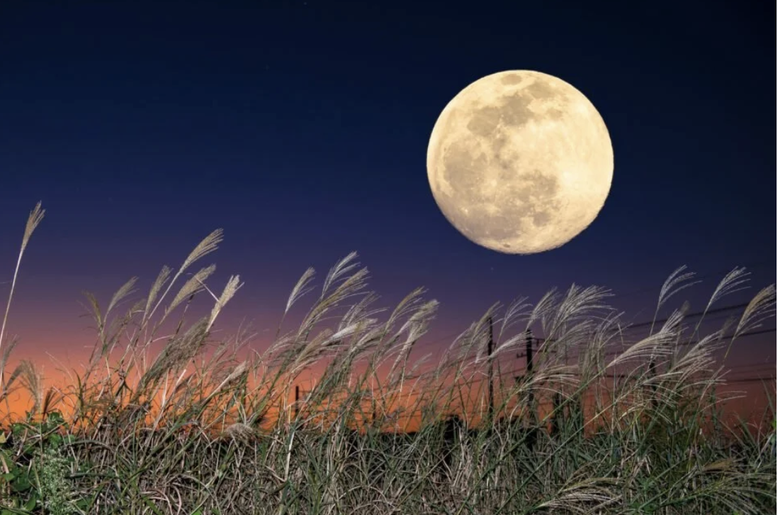 Full Moon Bodhisattva Vow Renewal Ceremony